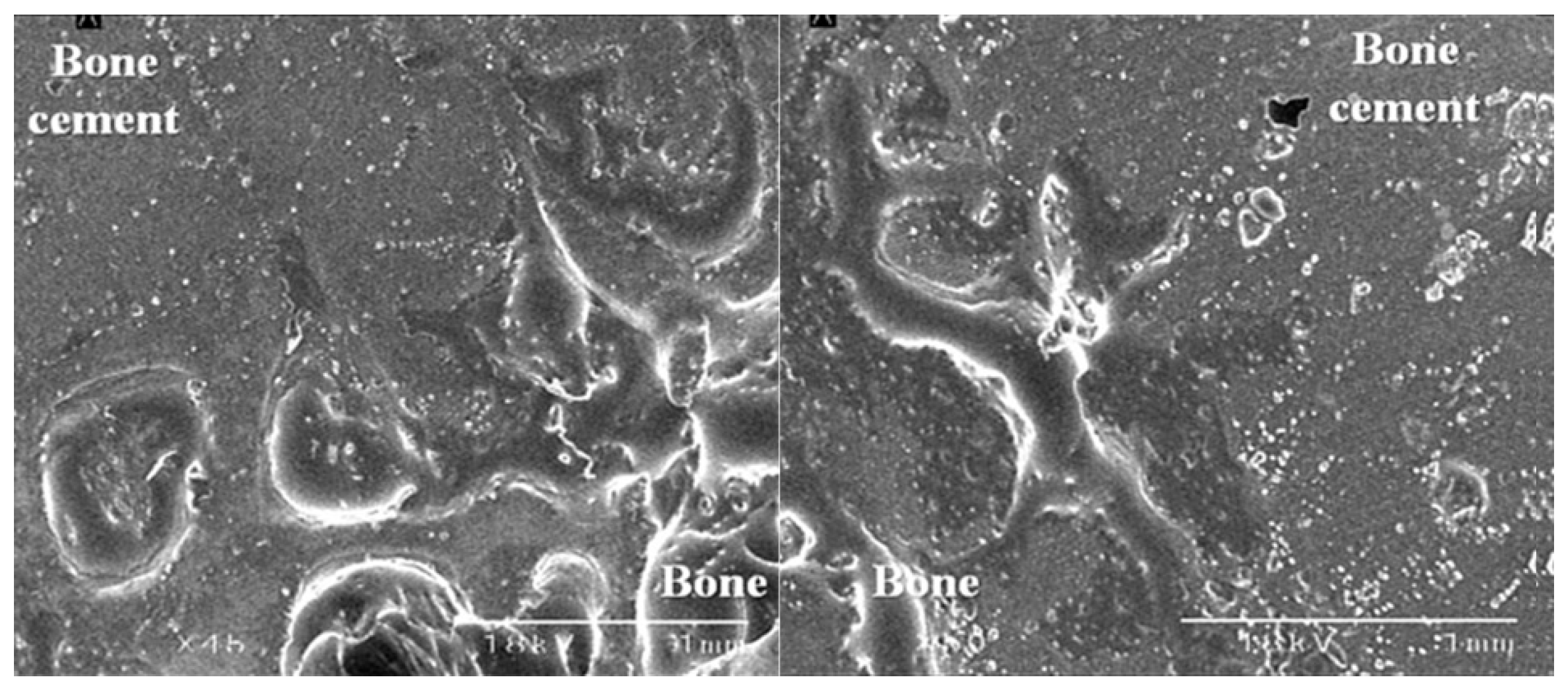Medicina 59 00508 g007