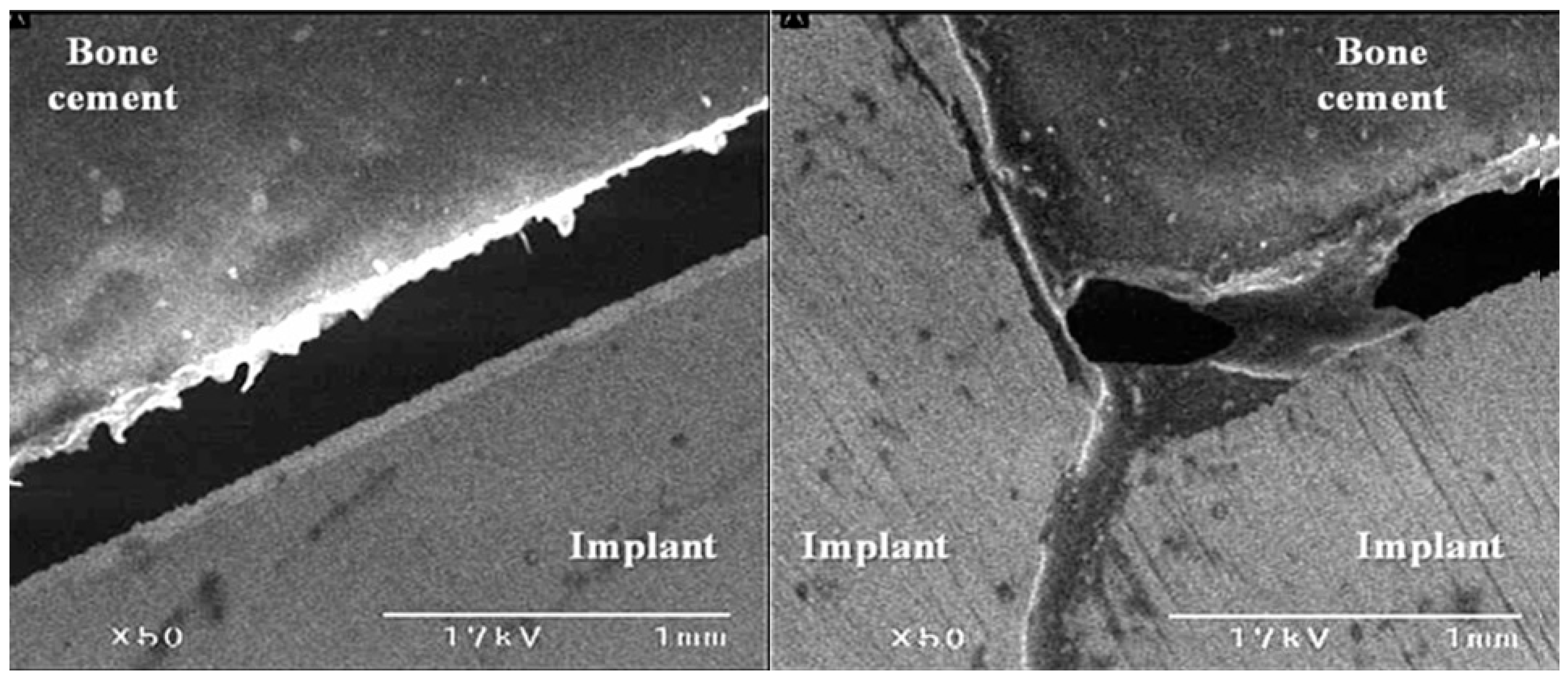 Medicina 59 00508 g008