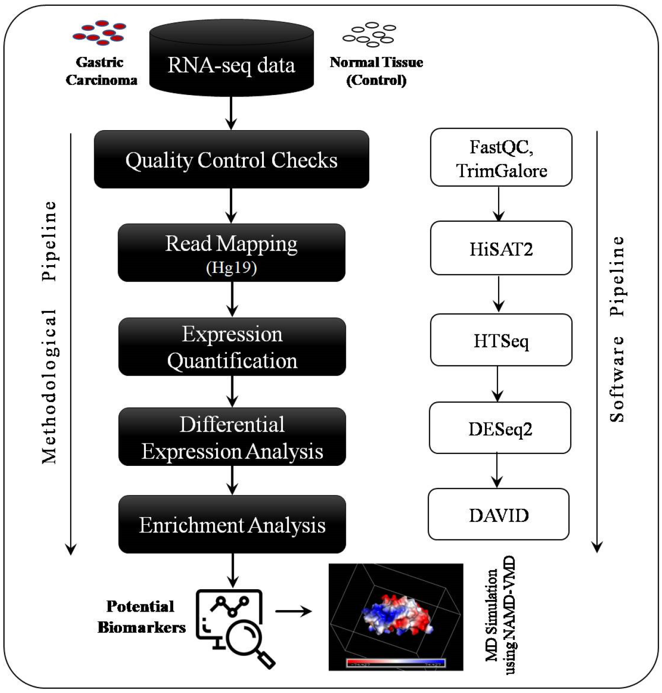 Medicina 59 00514 g001
