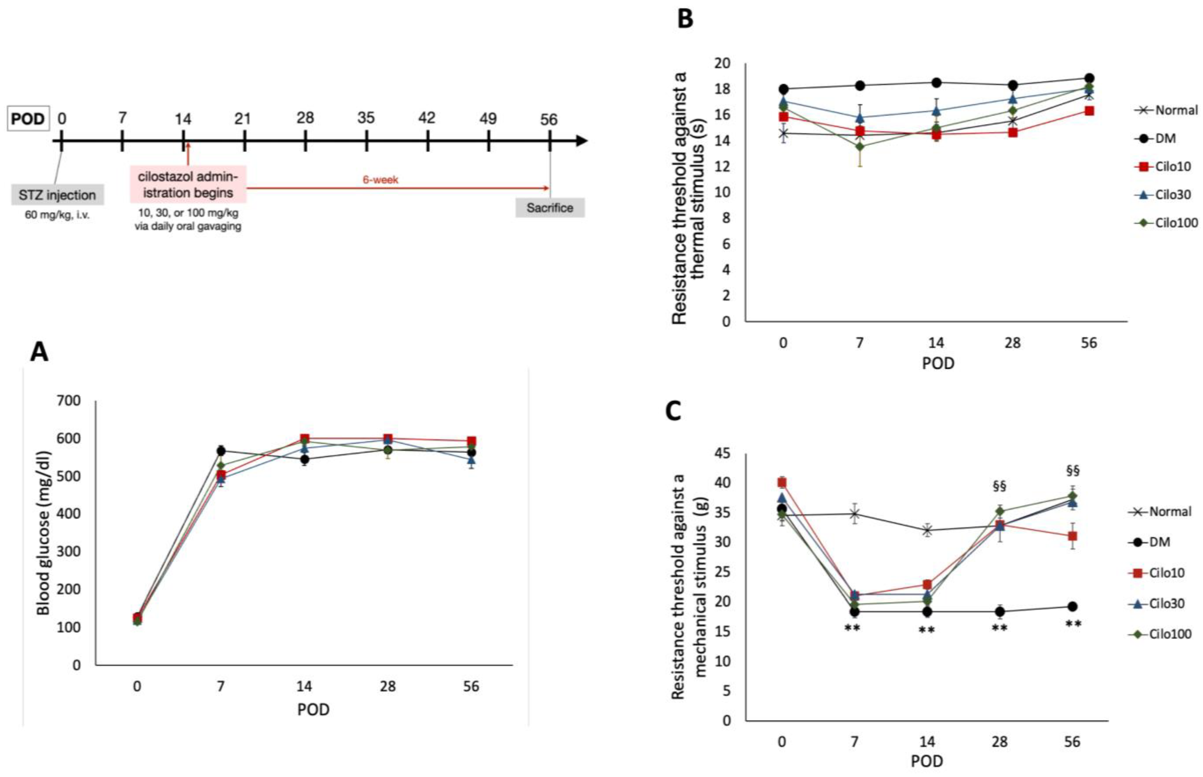 Medicina 59 00553 g001 Medicina 59 00553 g001