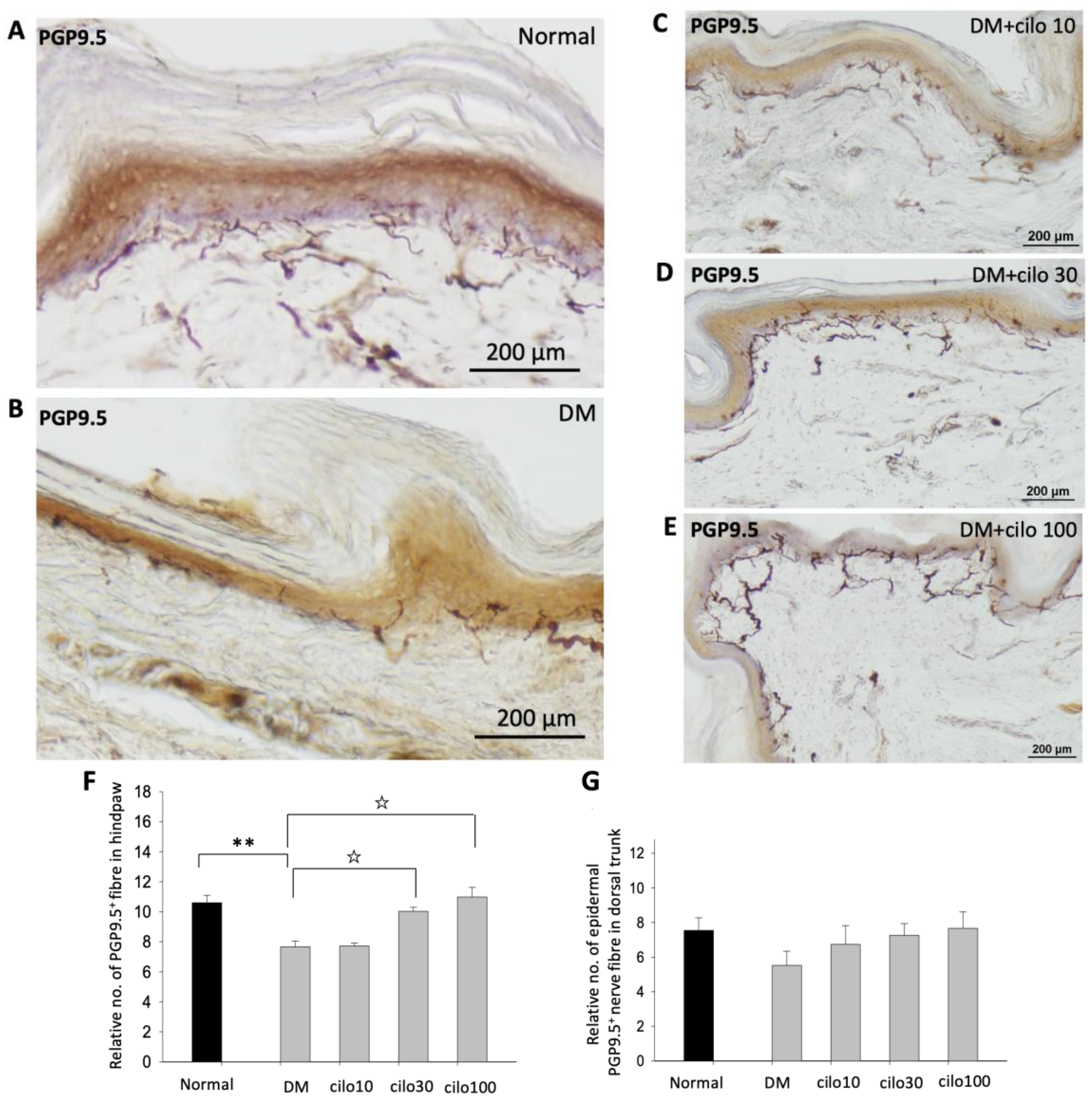 Medicina 59 00553 g002a Medicina 59 00553 g002a