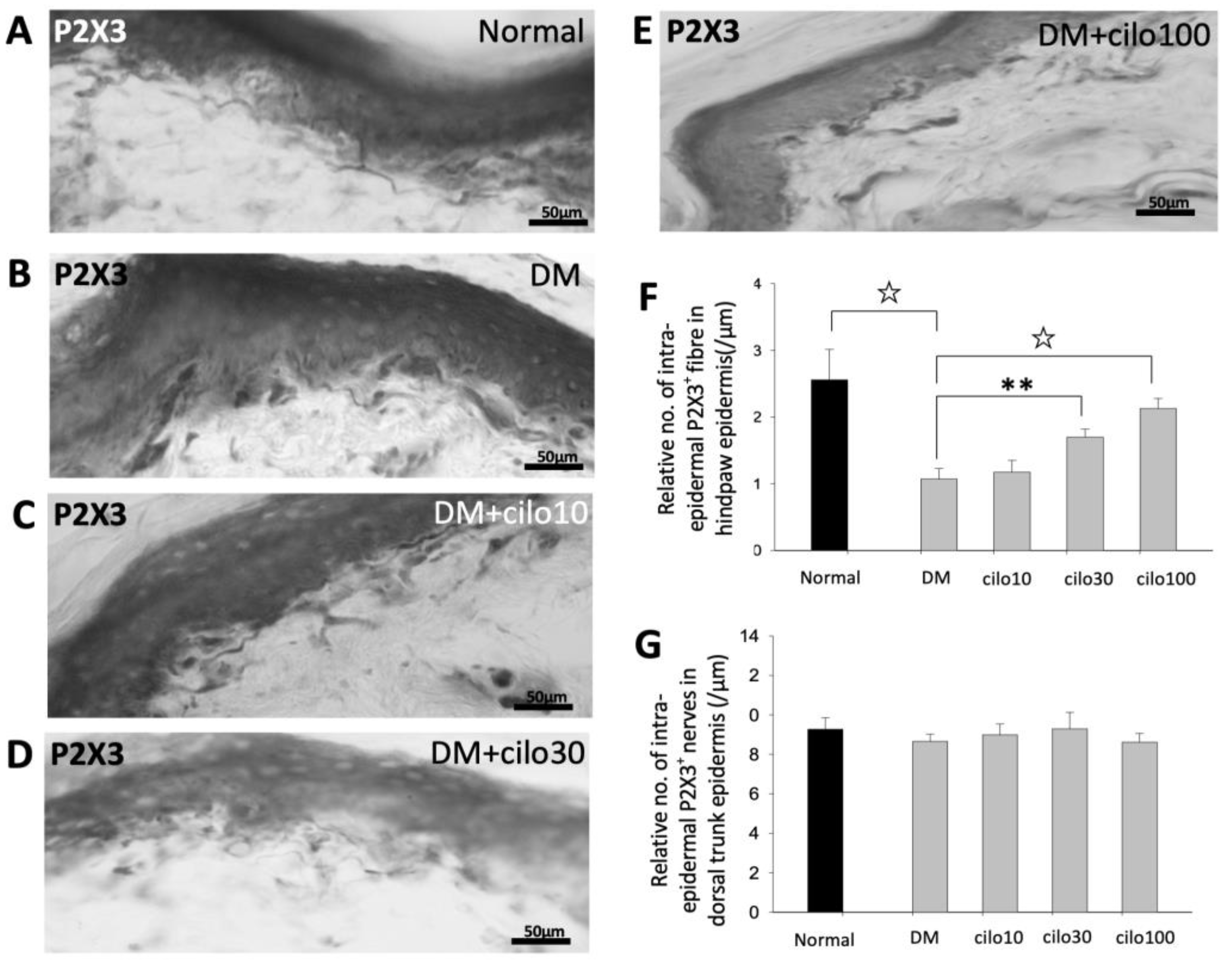 Medicina 59 00553 g003 Medicina 59 00553 g003