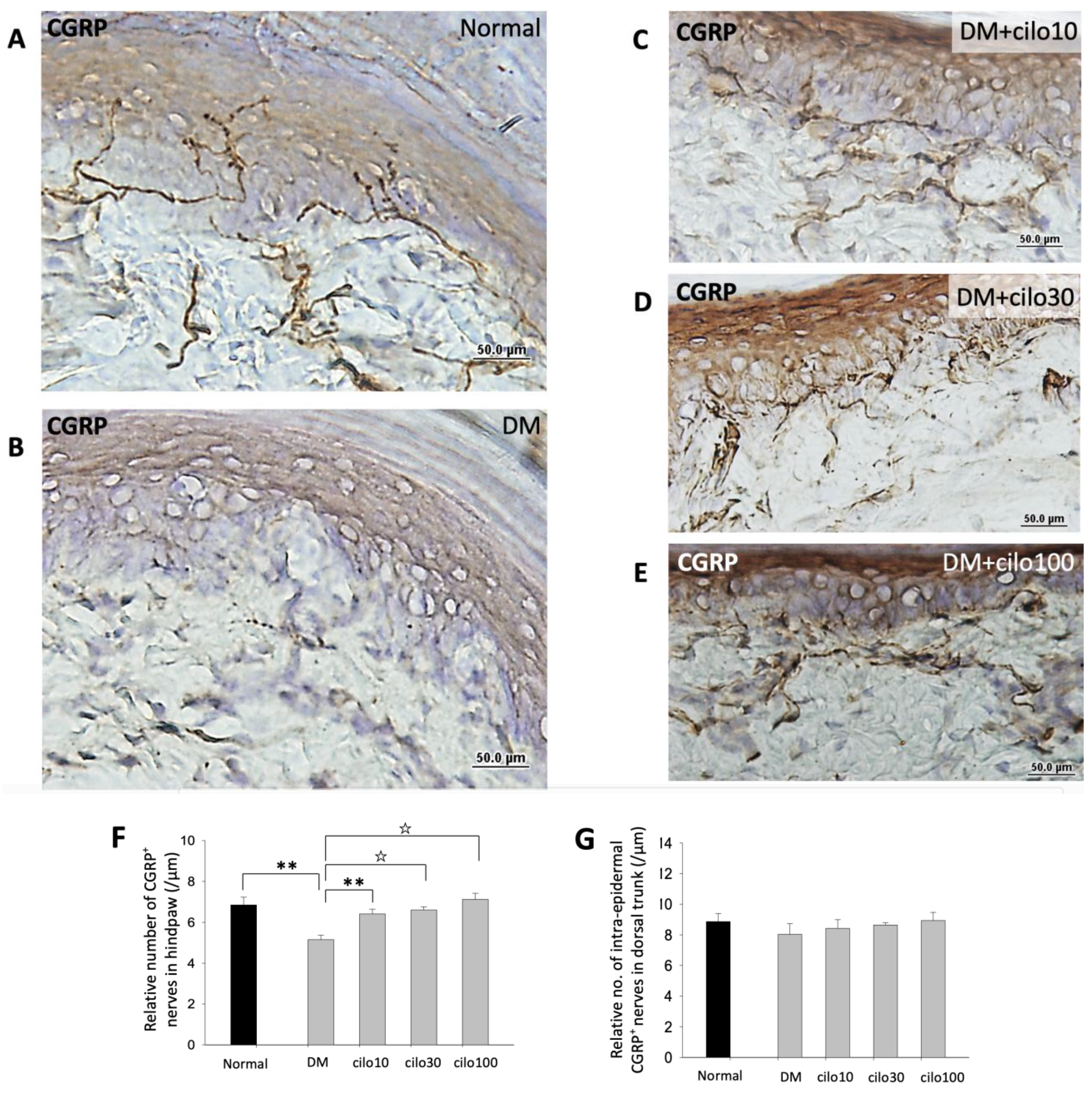 Medicina 59 00553 g004 Medicina 59 00553 g004