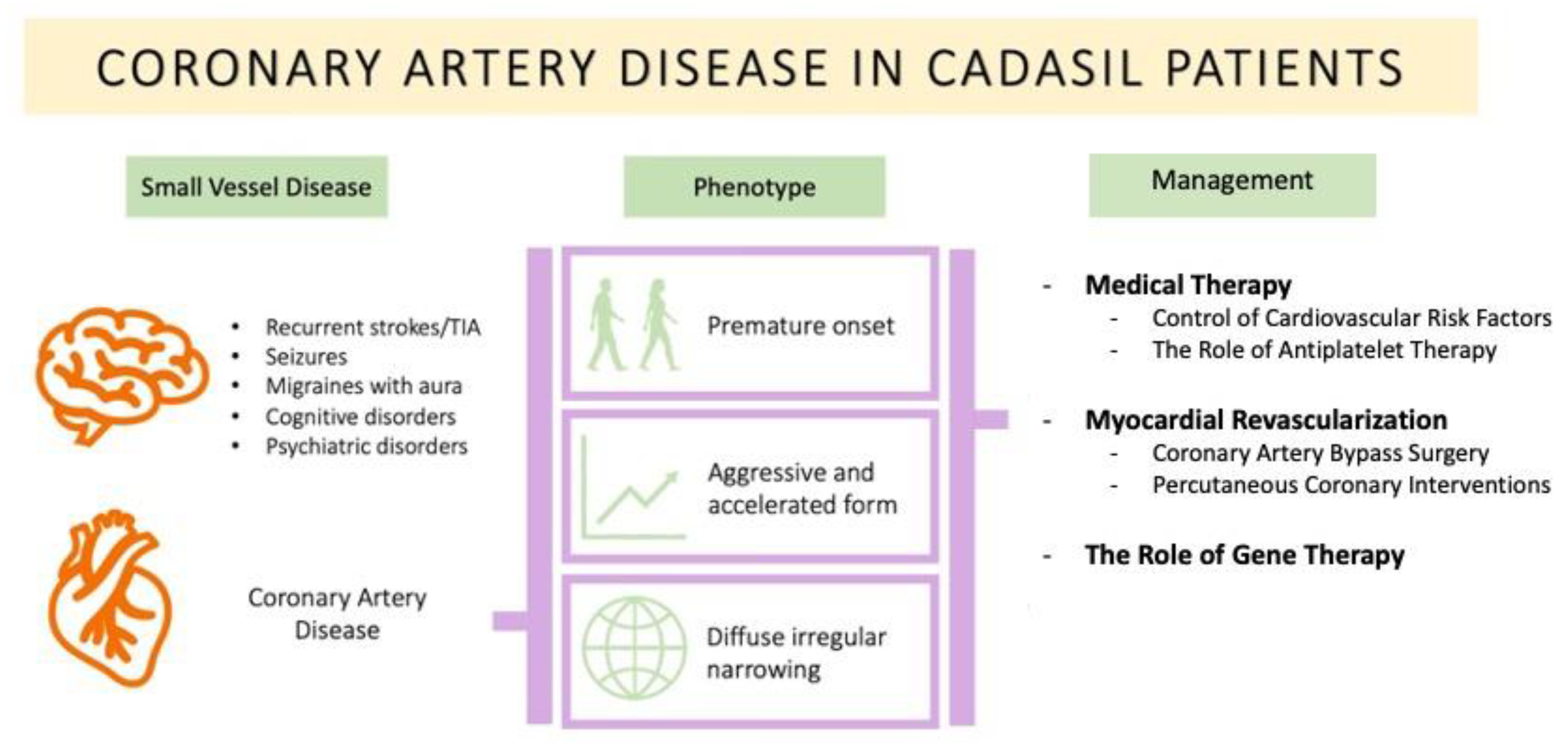 Medicina 59 00586 g001 Medicina 59 00586 g001
