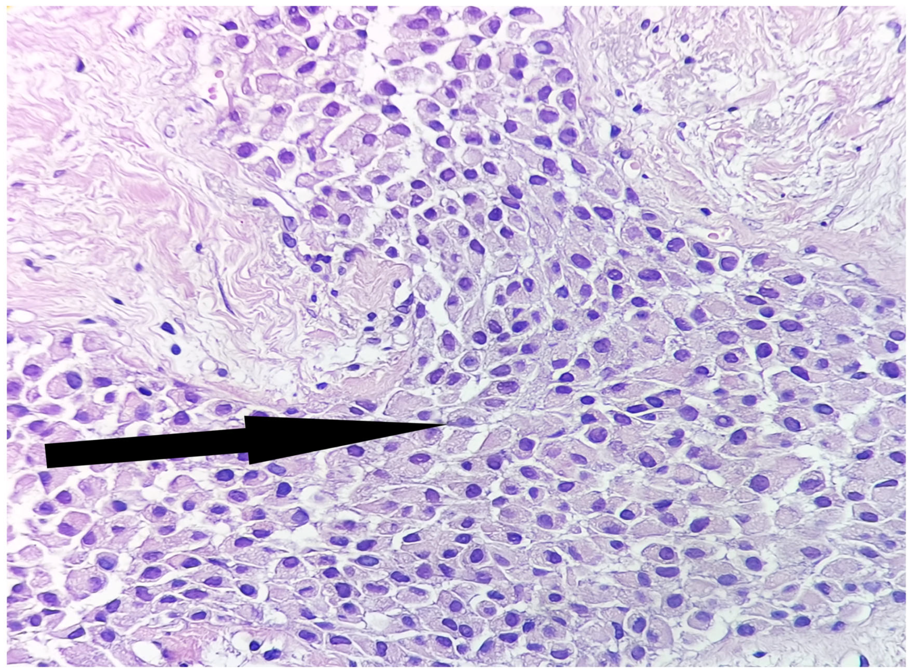 Medicina 59 00672 g004