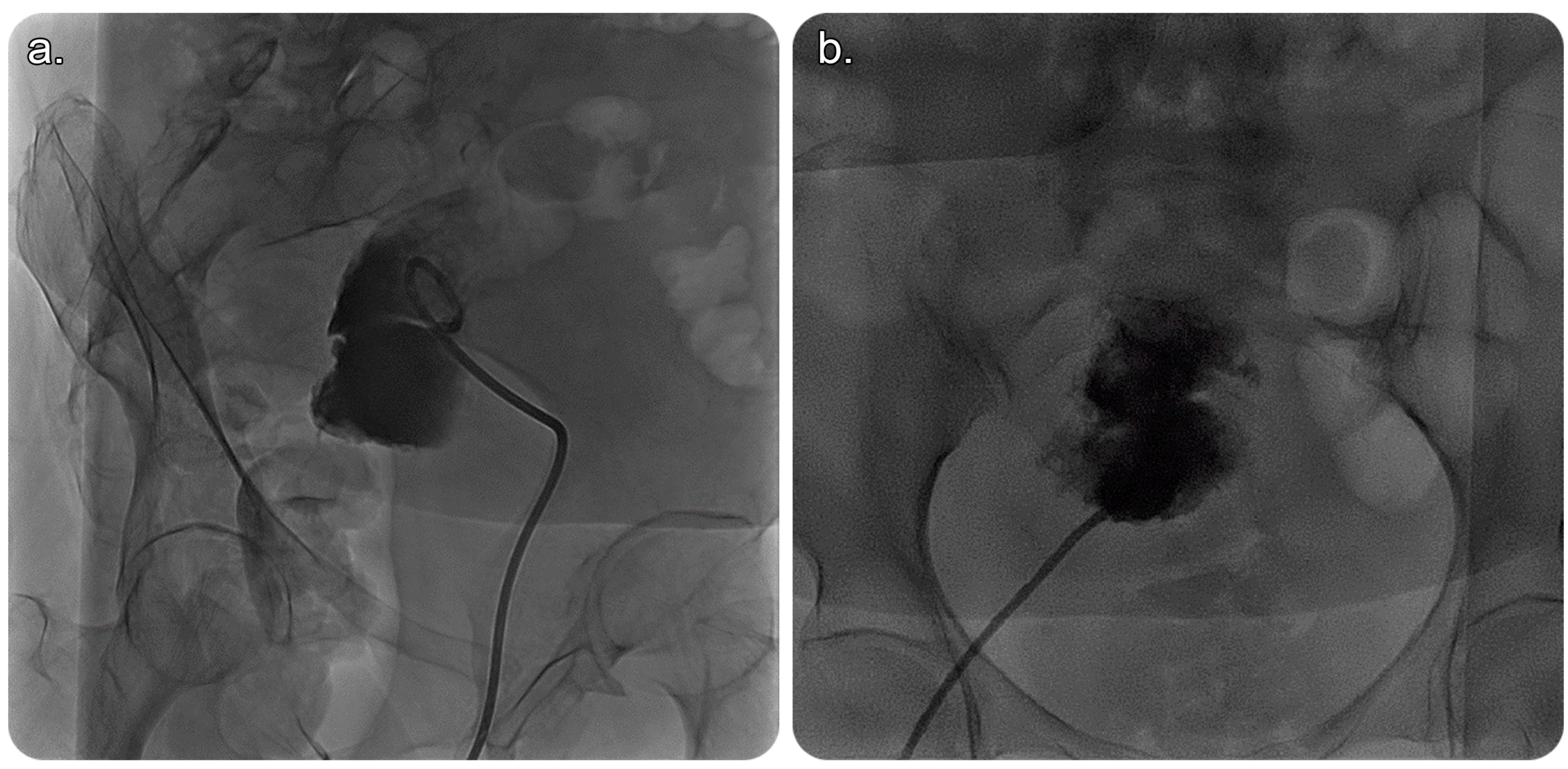 Medicina 59 00689 g003 Medicina 59 00689 g003