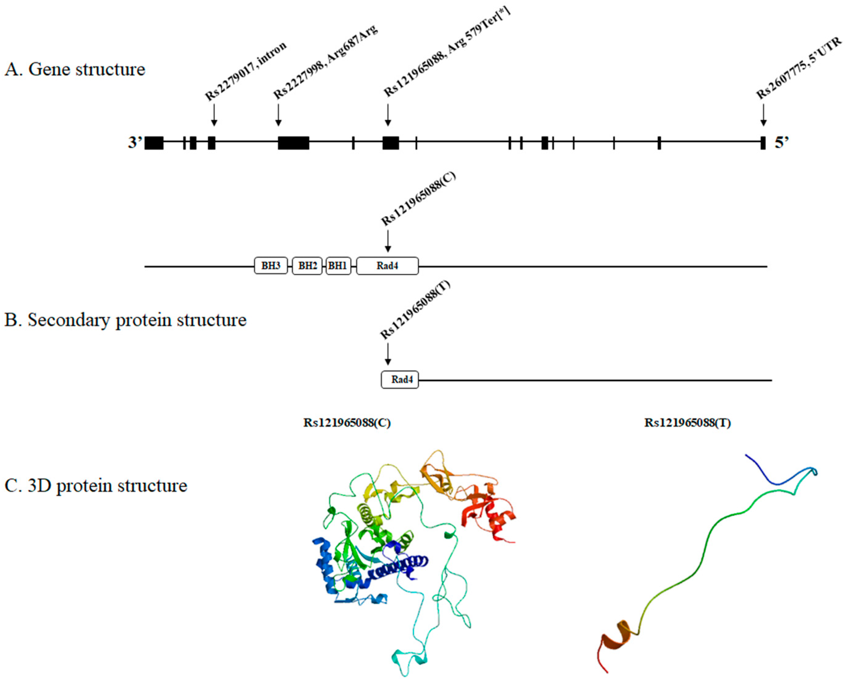 Medicina 59 00699 g001 Medicina 59 00699 g001