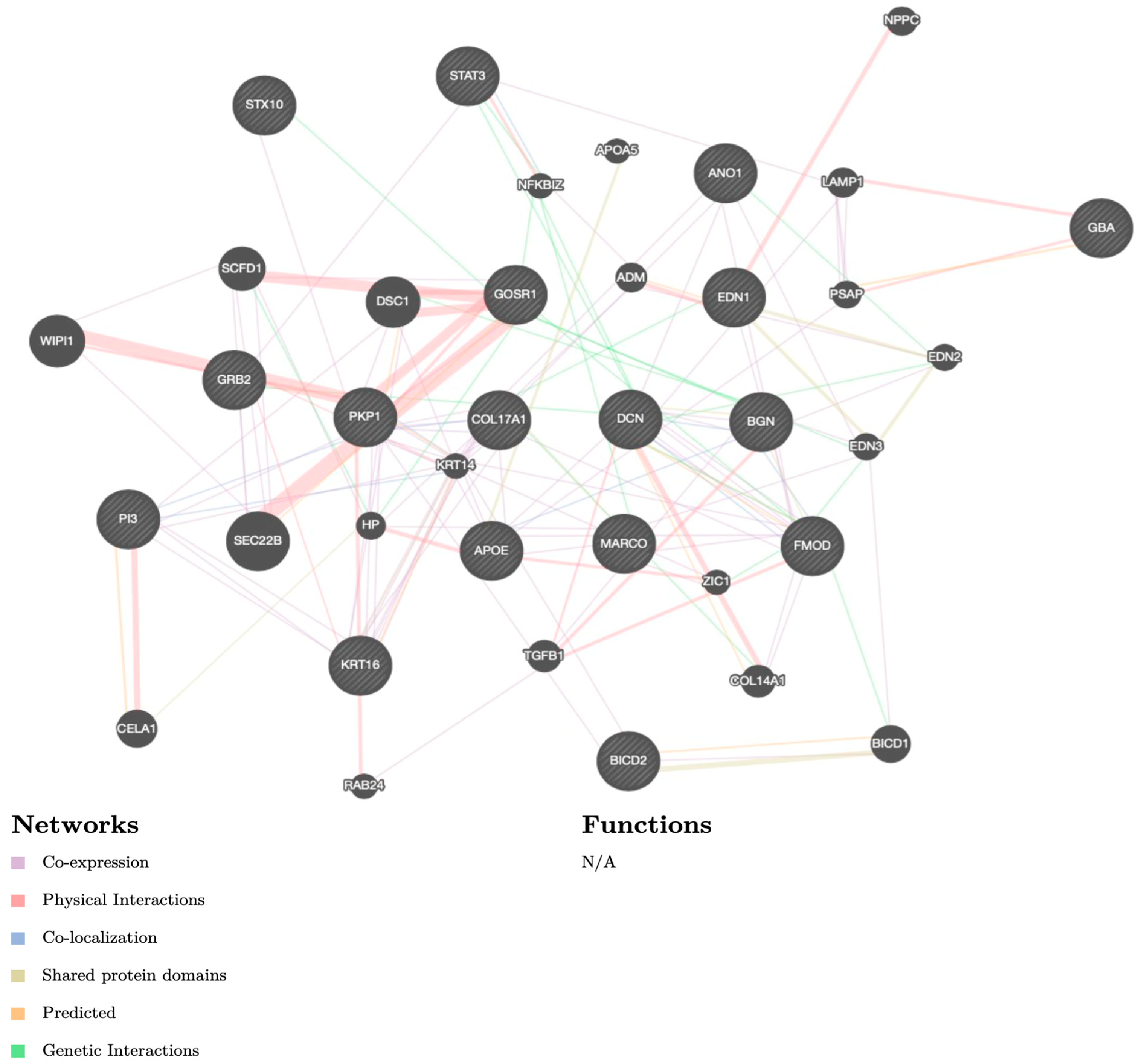 Medicina 59 00700 g002