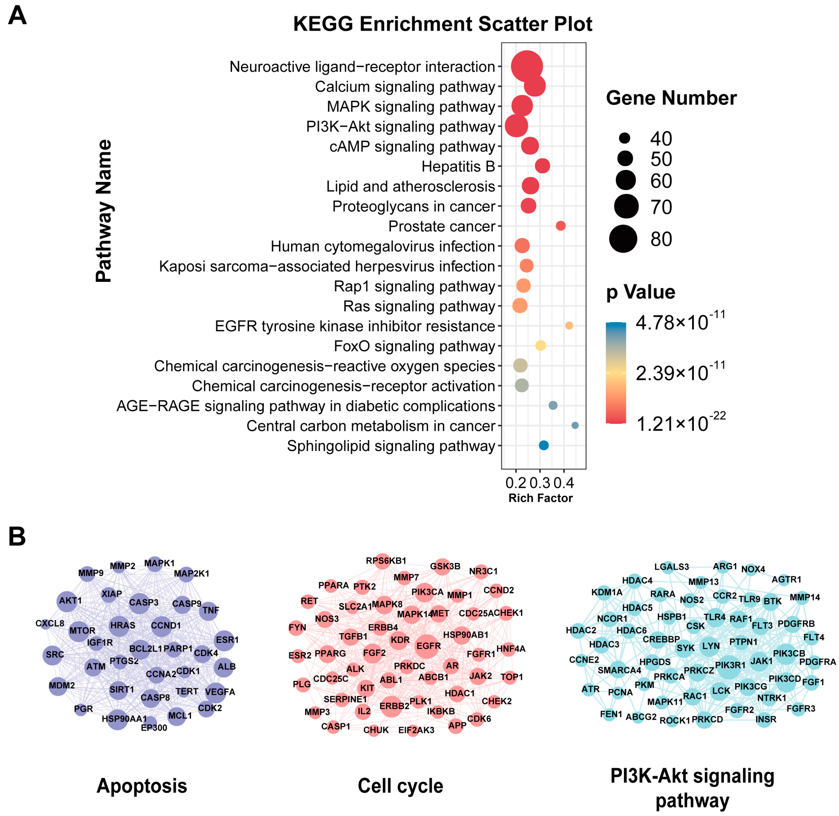 Medicina 59 00741 g001 Medicina 59 00741 g001