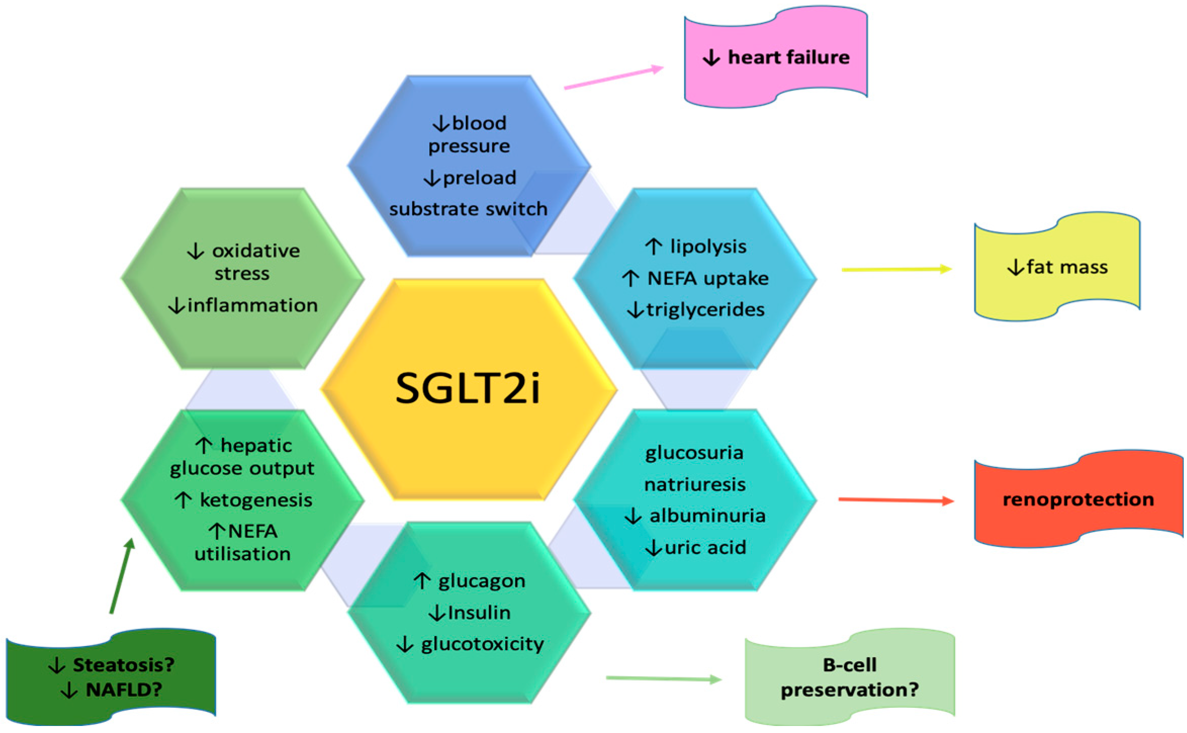 Medicina 59 00742 g001