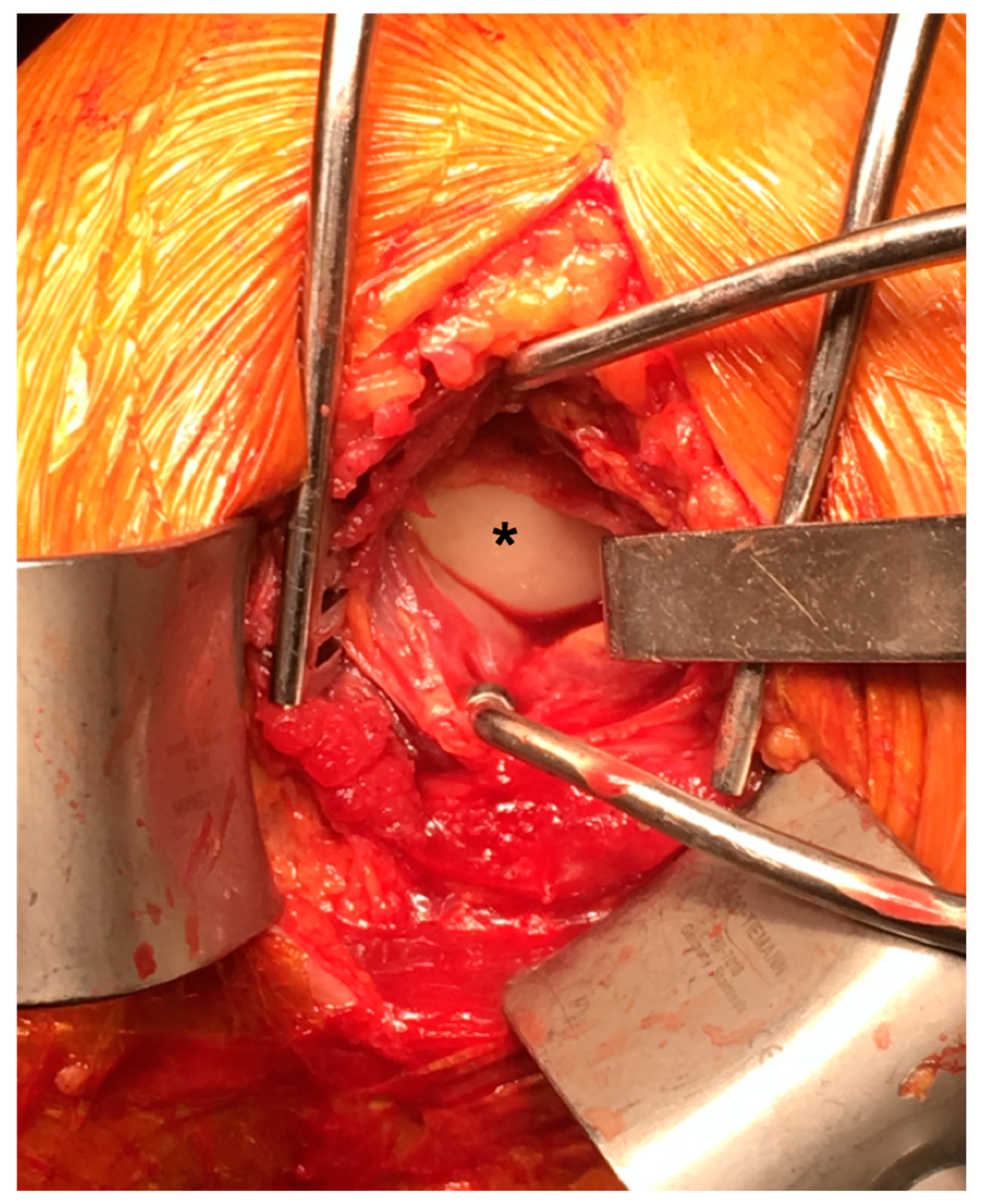 Medicina 59 00772 g001 Medicina 59 00772 g001