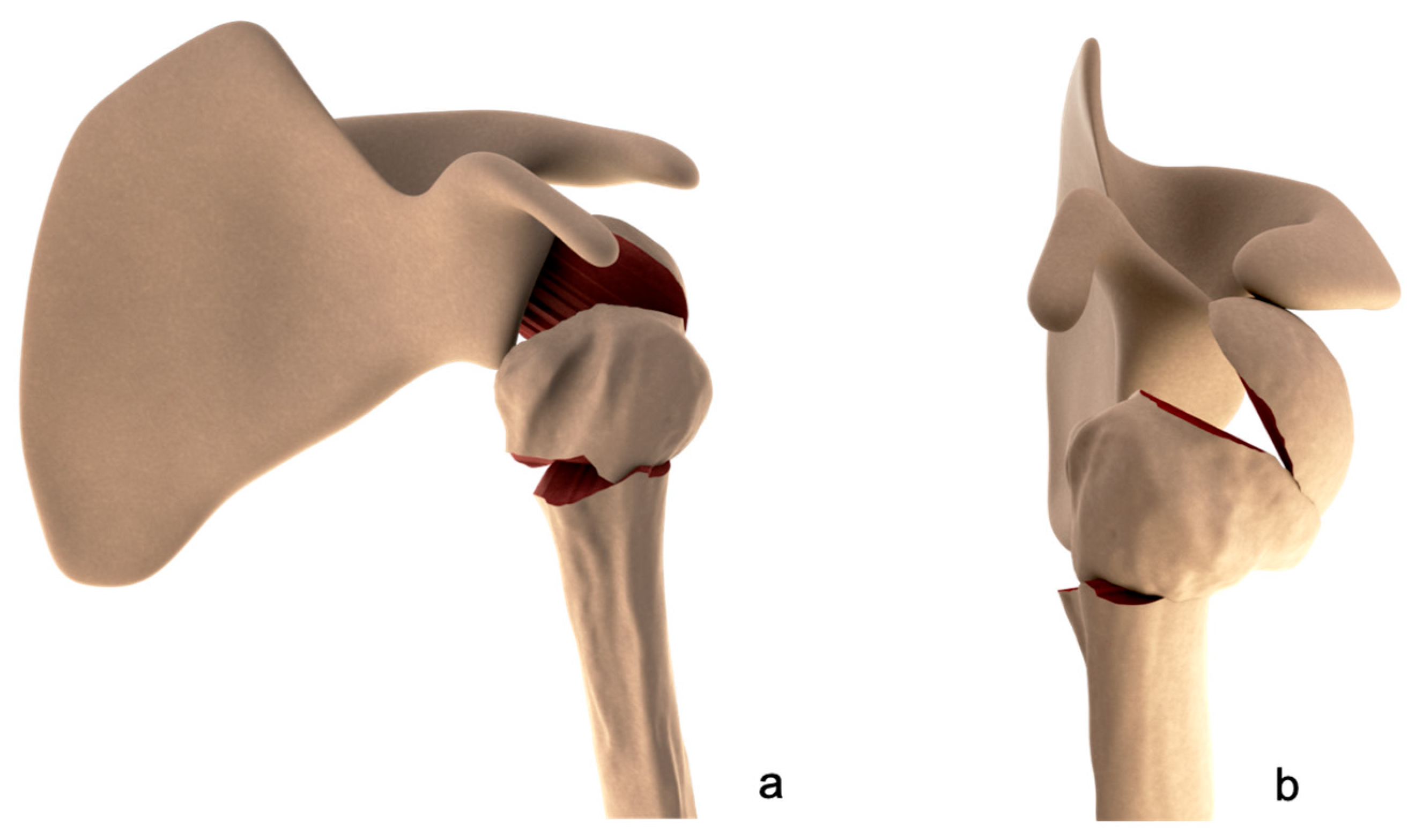 Medicina 59 00772 g002 Medicina 59 00772 g002