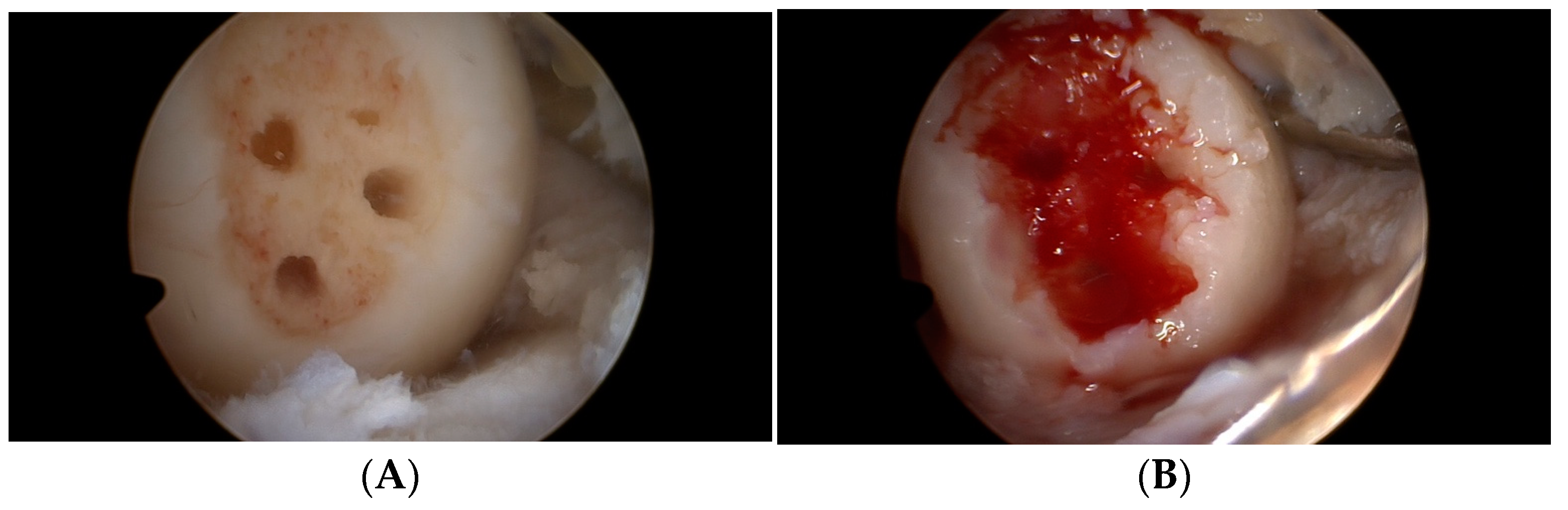 Medicina 59 00804 g003a Medicina 59 00804 g003a