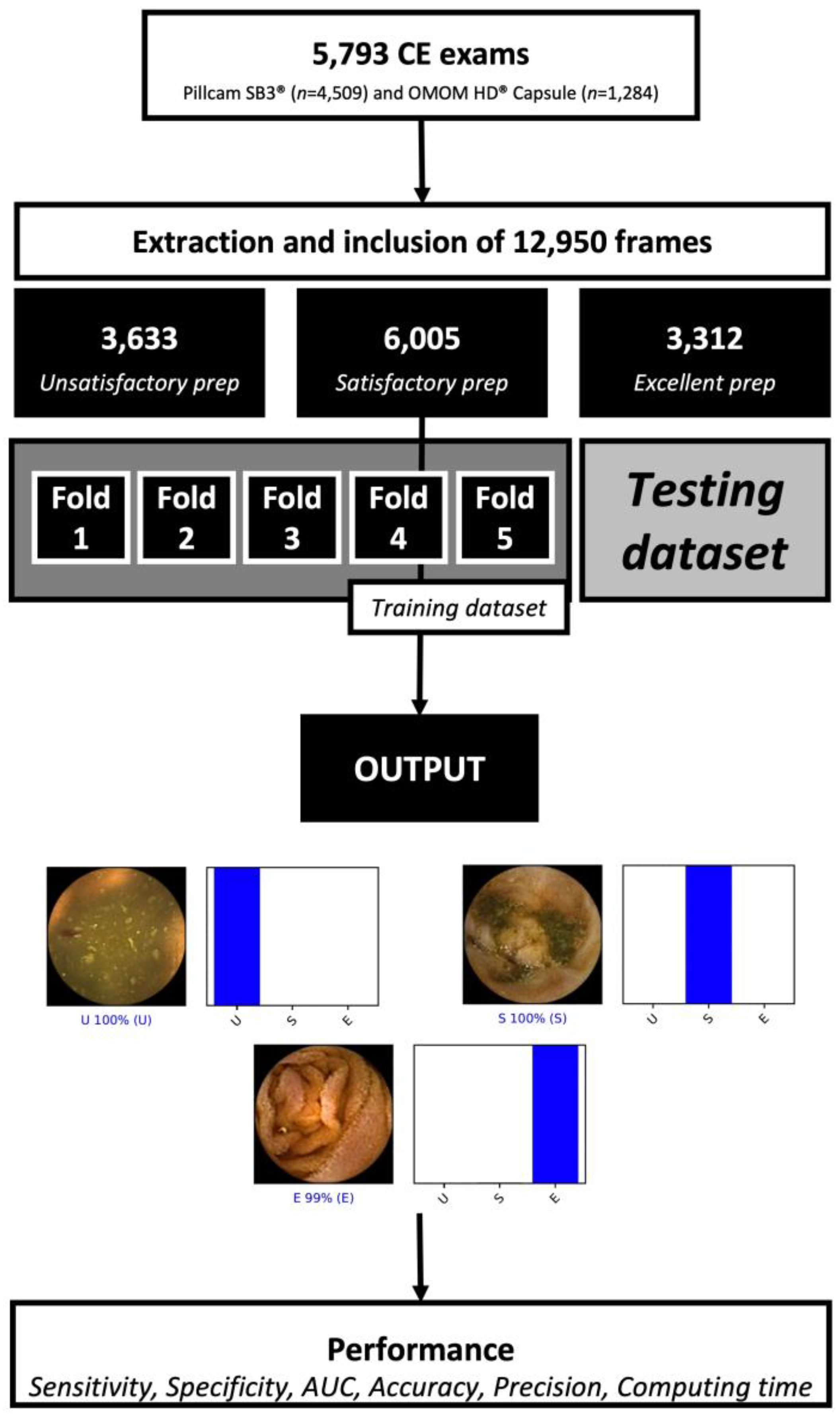 Medicina 59 00810 g001 Medicina 59 00810 g001