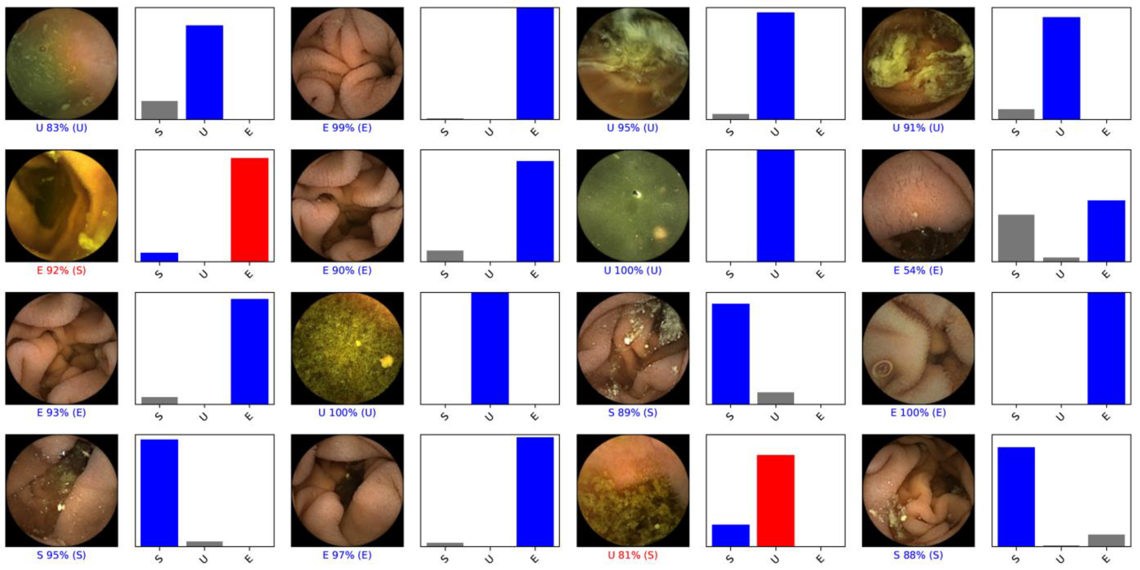 Medicina 59 00810 g002 Medicina 59 00810 g002