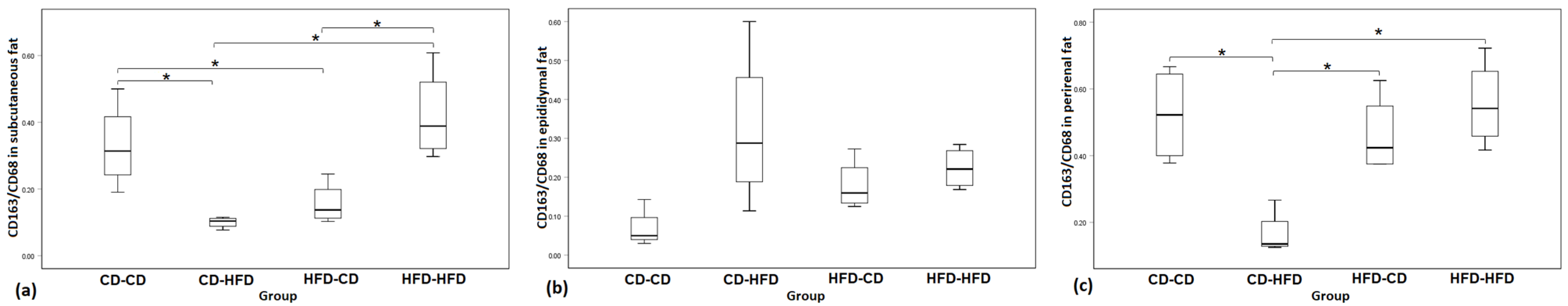 Medicina 59 00888 g005