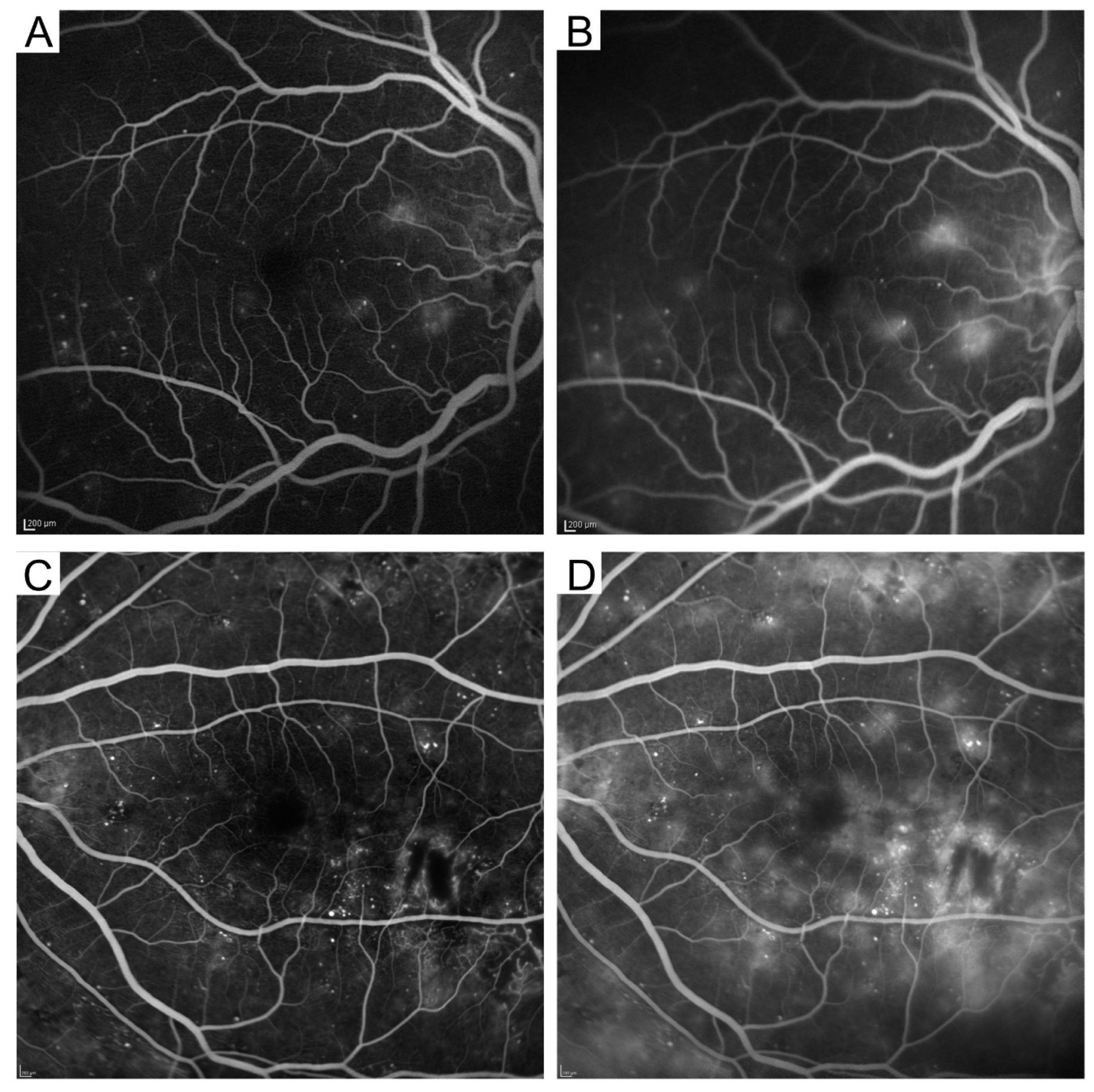 Medicina 59 00896 g003 Medicina 59 00896 g003