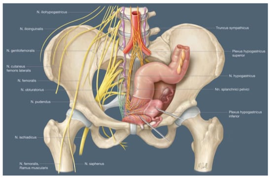 Medicina, Free Full-Text