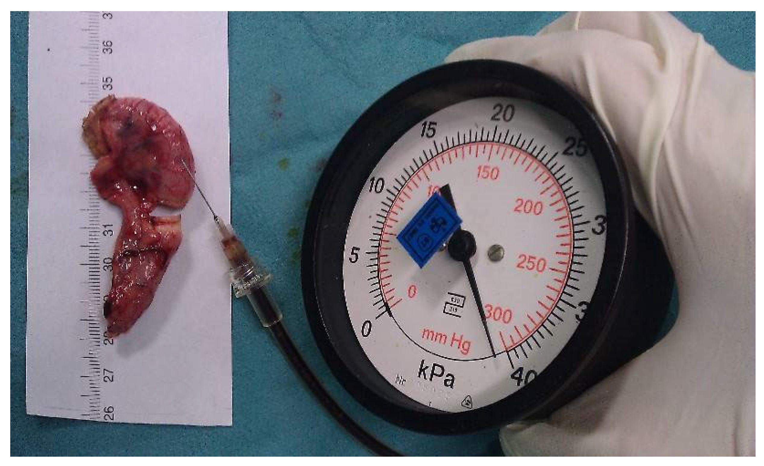 Medicina 59 00927 g002 Medicina 59 00927 g002