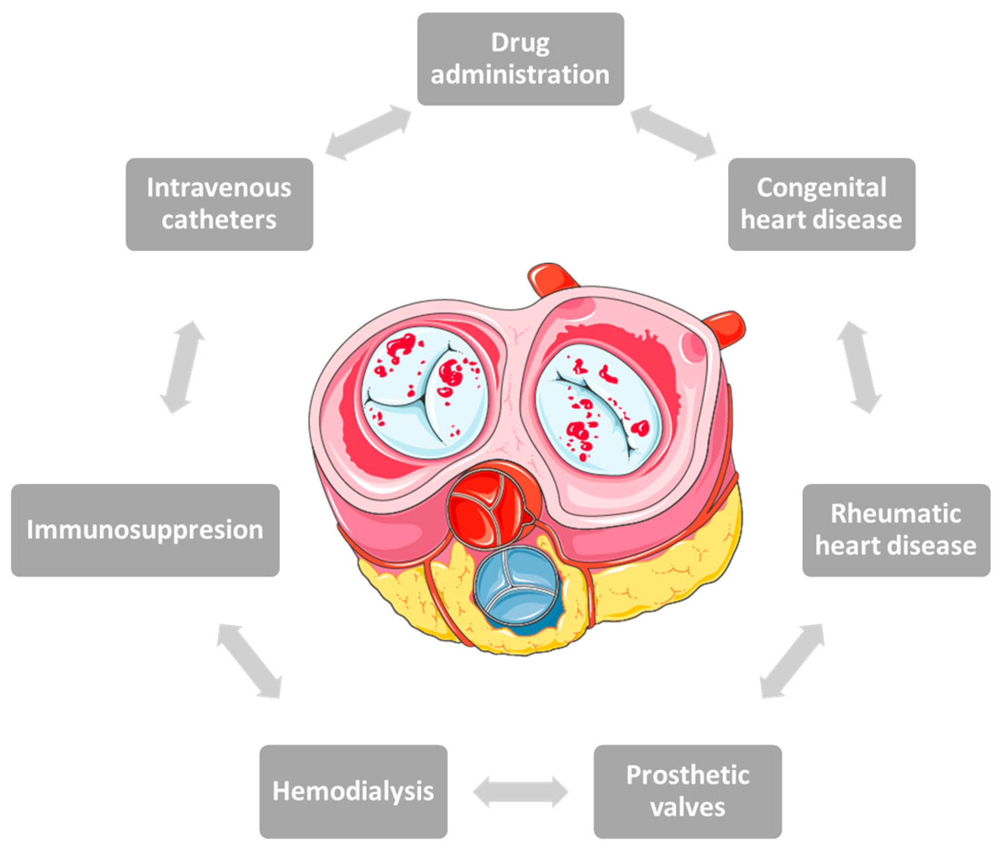 Medicina 59 00939 g001 Medicina 59 00939 g001