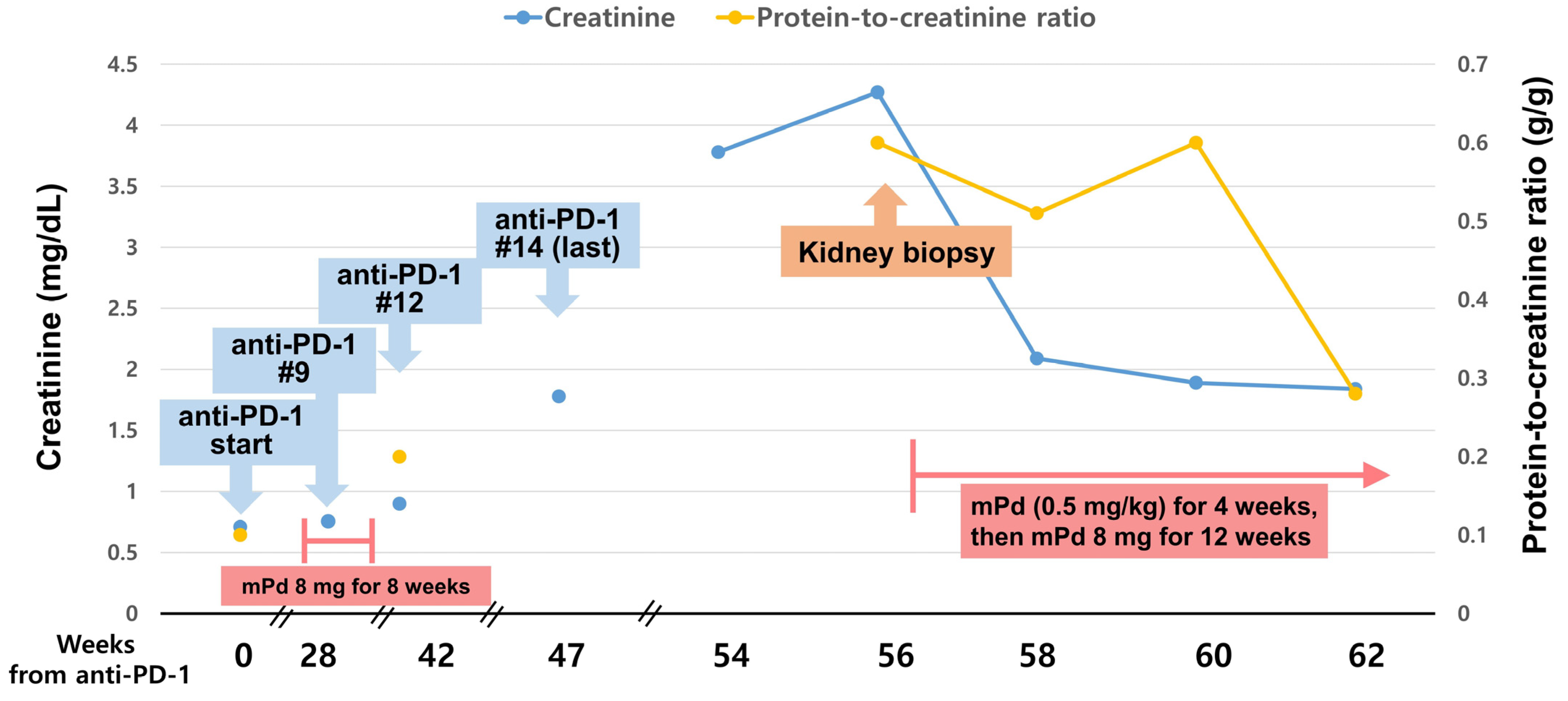 Medicina 59 00991 g001 Medicina 59 00991 g001