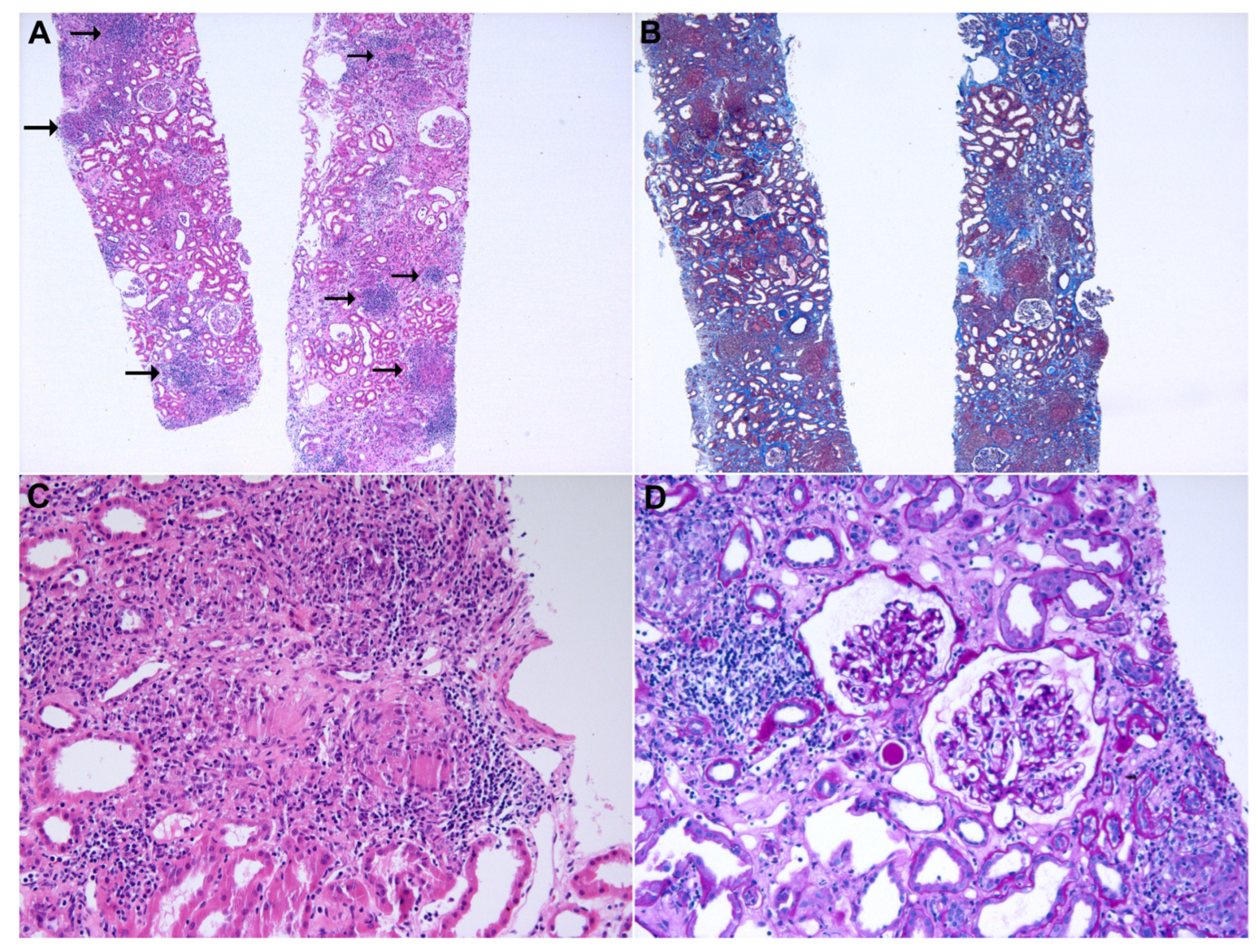 Medicina 59 00991 g002 Medicina 59 00991 g002