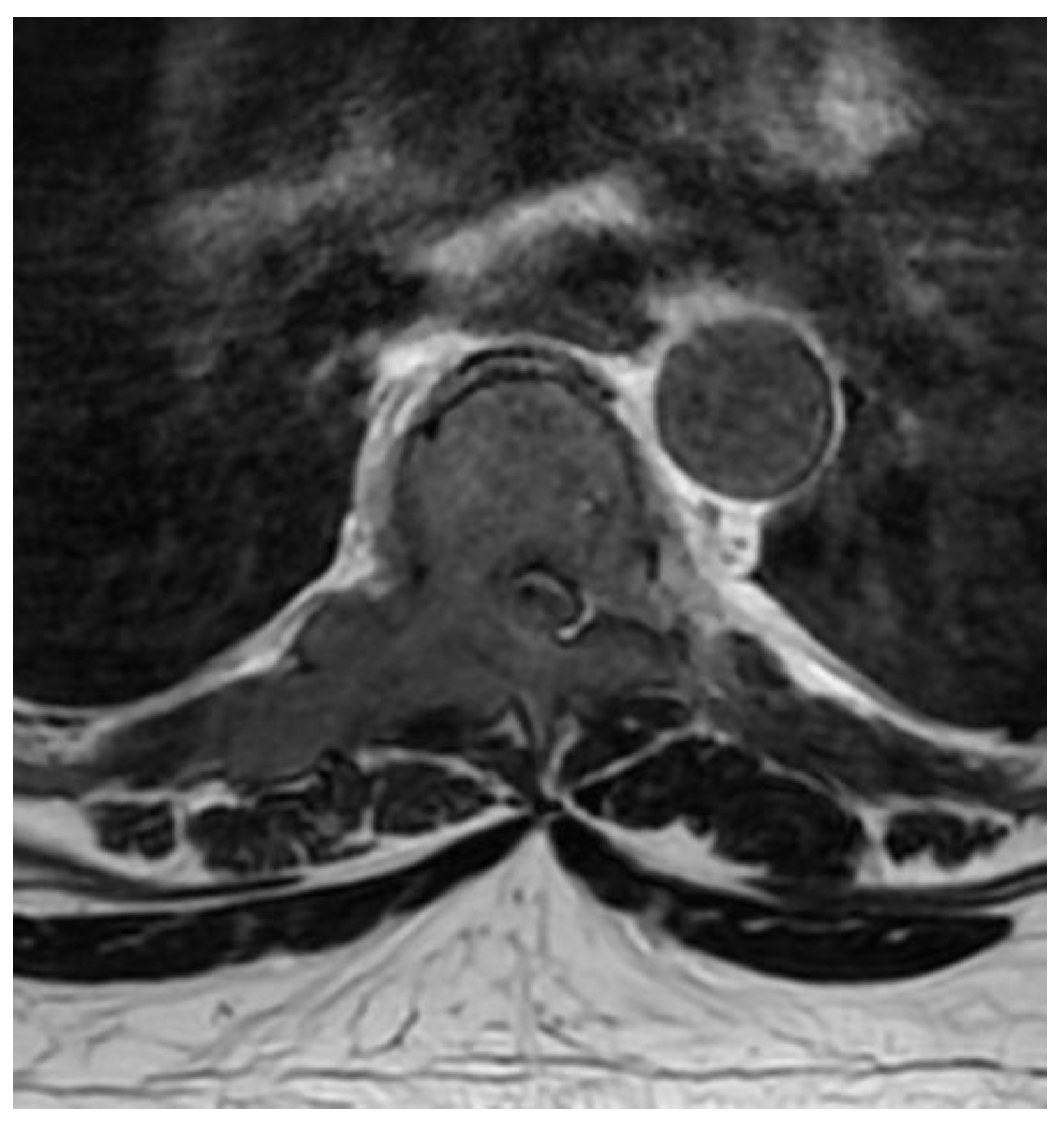 Medicina 59 00993 g001 Medicina 59 00993 g001