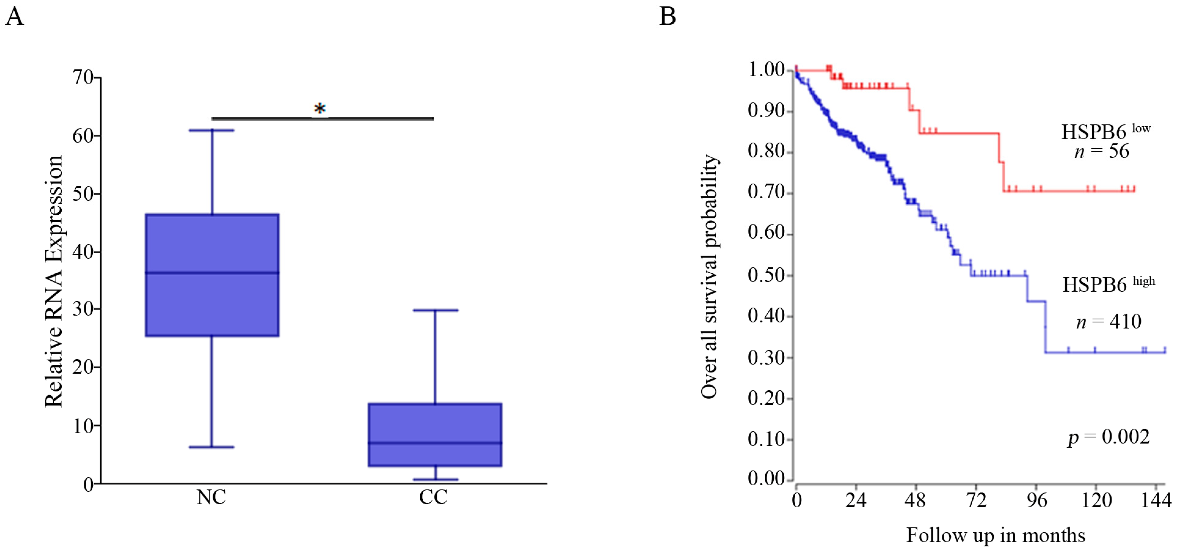 Medicina 59 00996 g001 Medicina 59 00996 g001