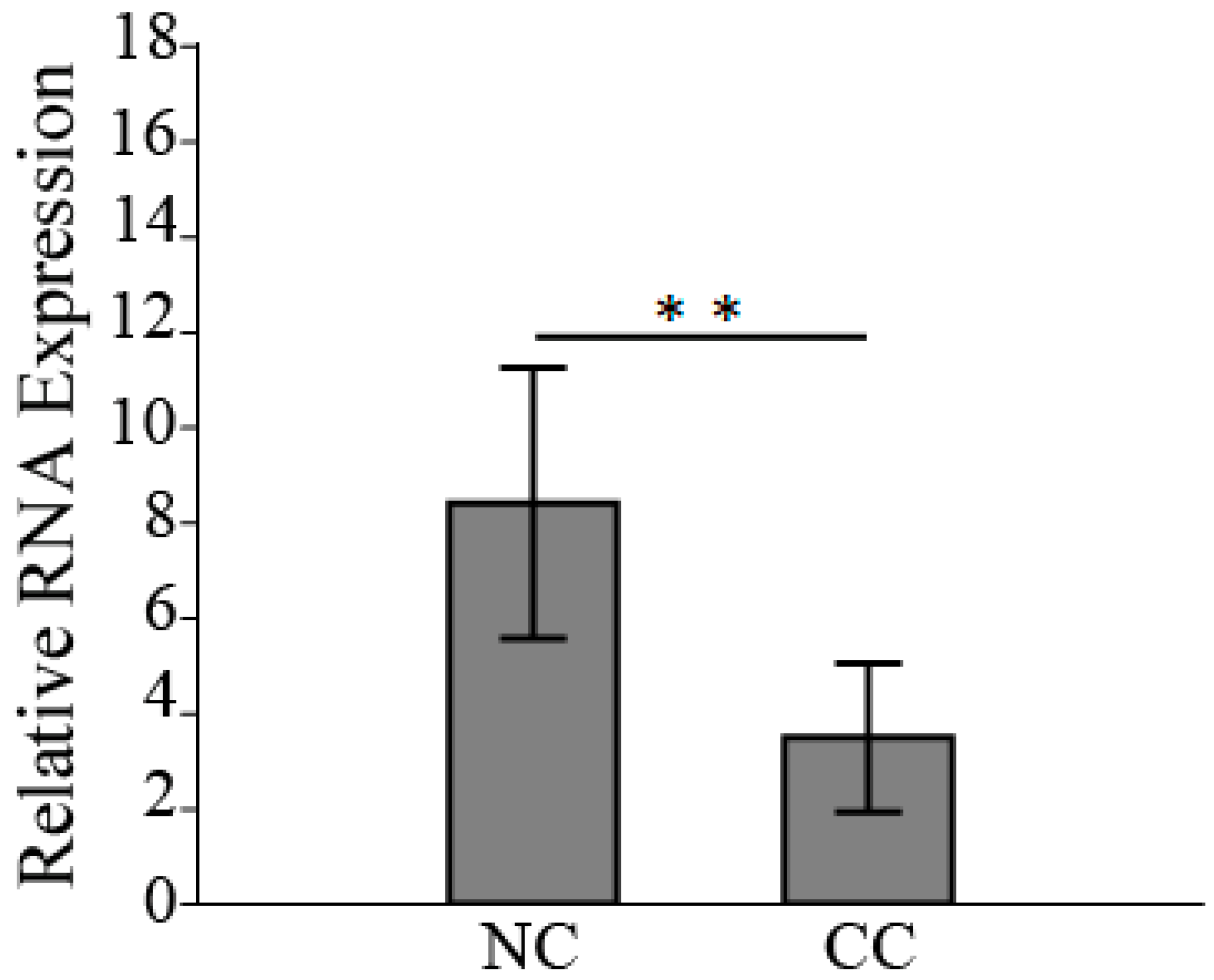 Medicina 59 00996 g002 Medicina 59 00996 g002