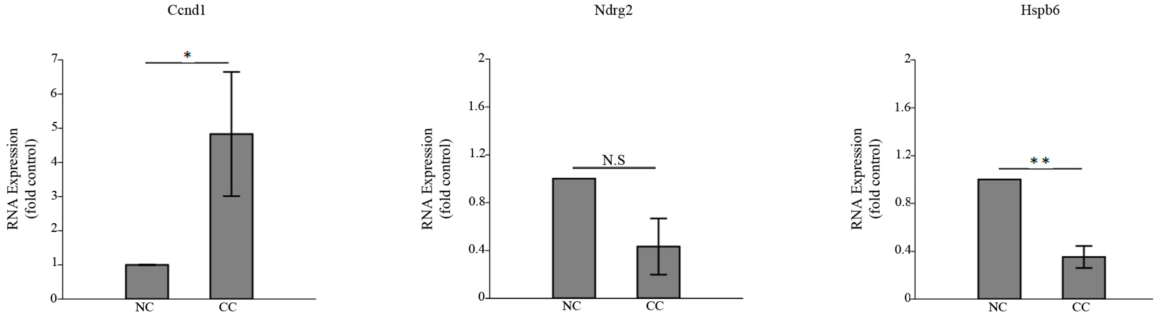 Medicina 59 00996 g003 Medicina 59 00996 g003