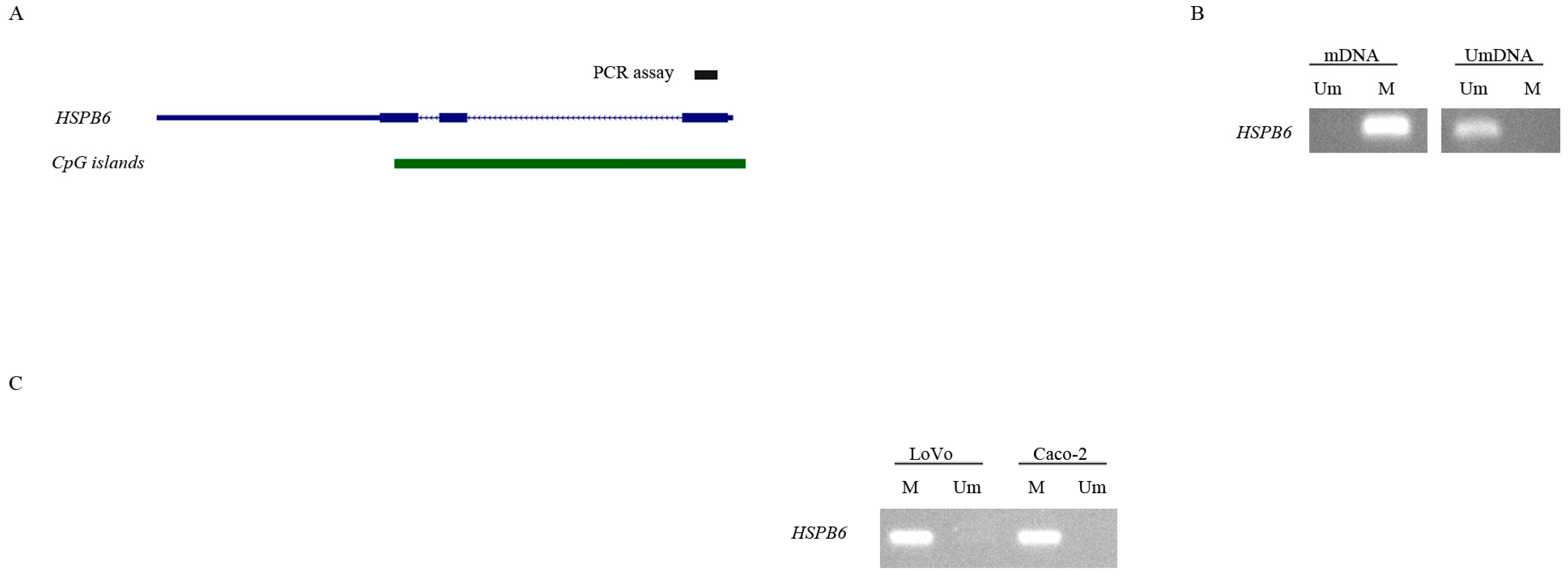 Medicina 59 00996 g004 Medicina 59 00996 g004