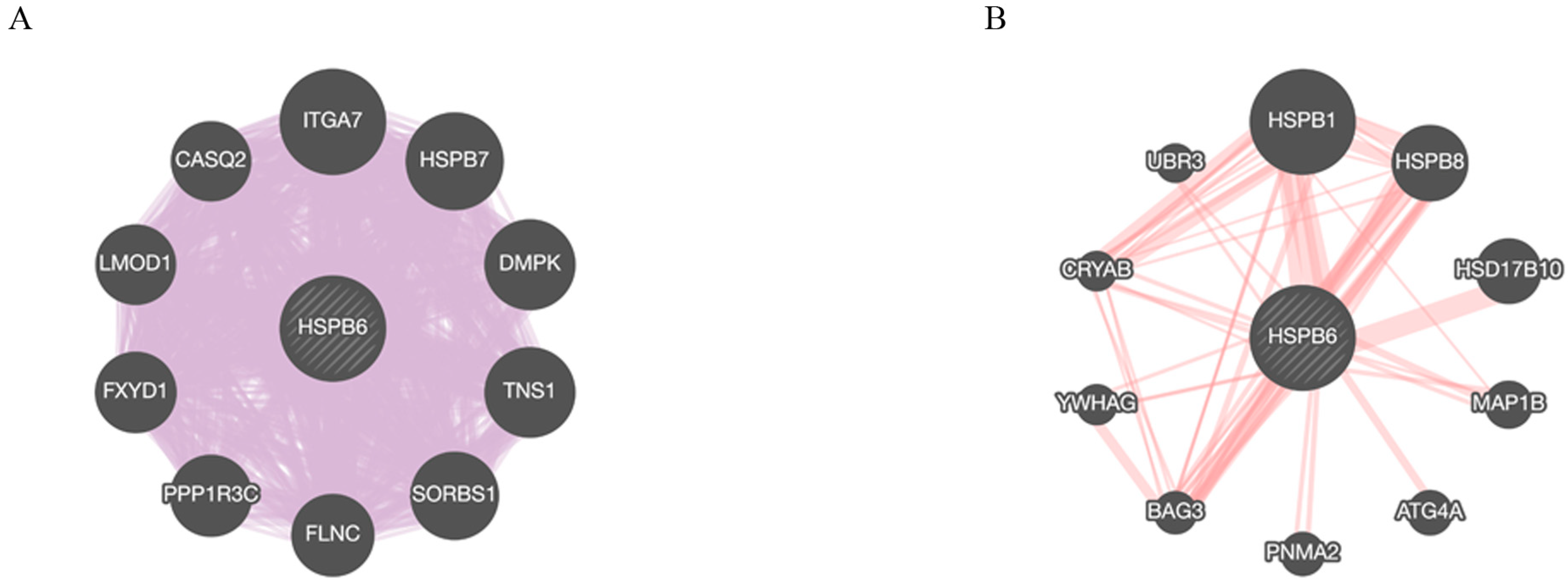 Medicina 59 00996 g006 Medicina 59 00996 g006