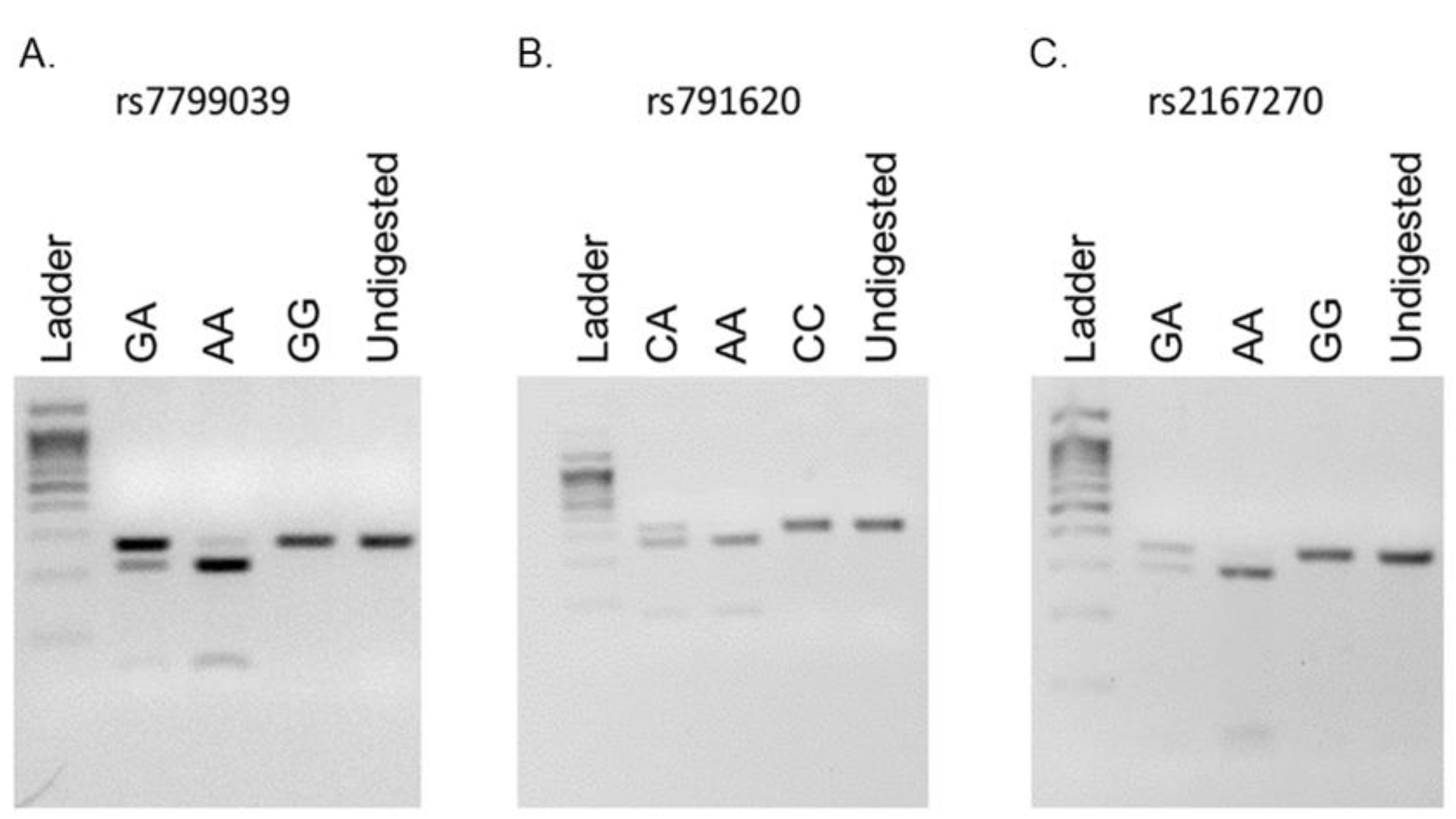 Medicina 59 00997 g001 Medicina 59 00997 g001