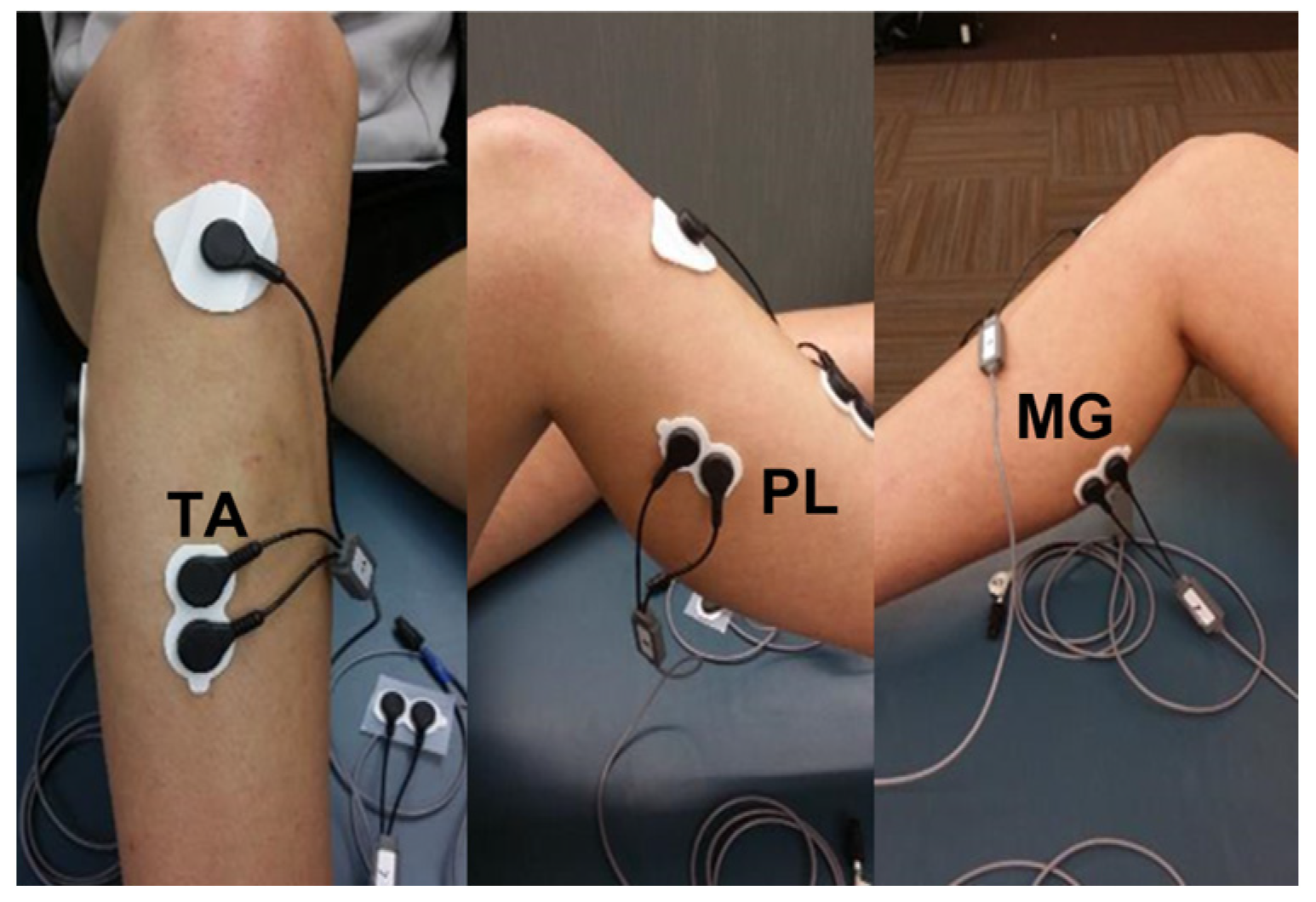 Medicina 59 01040 g002 Medicina 59 01040 g002
