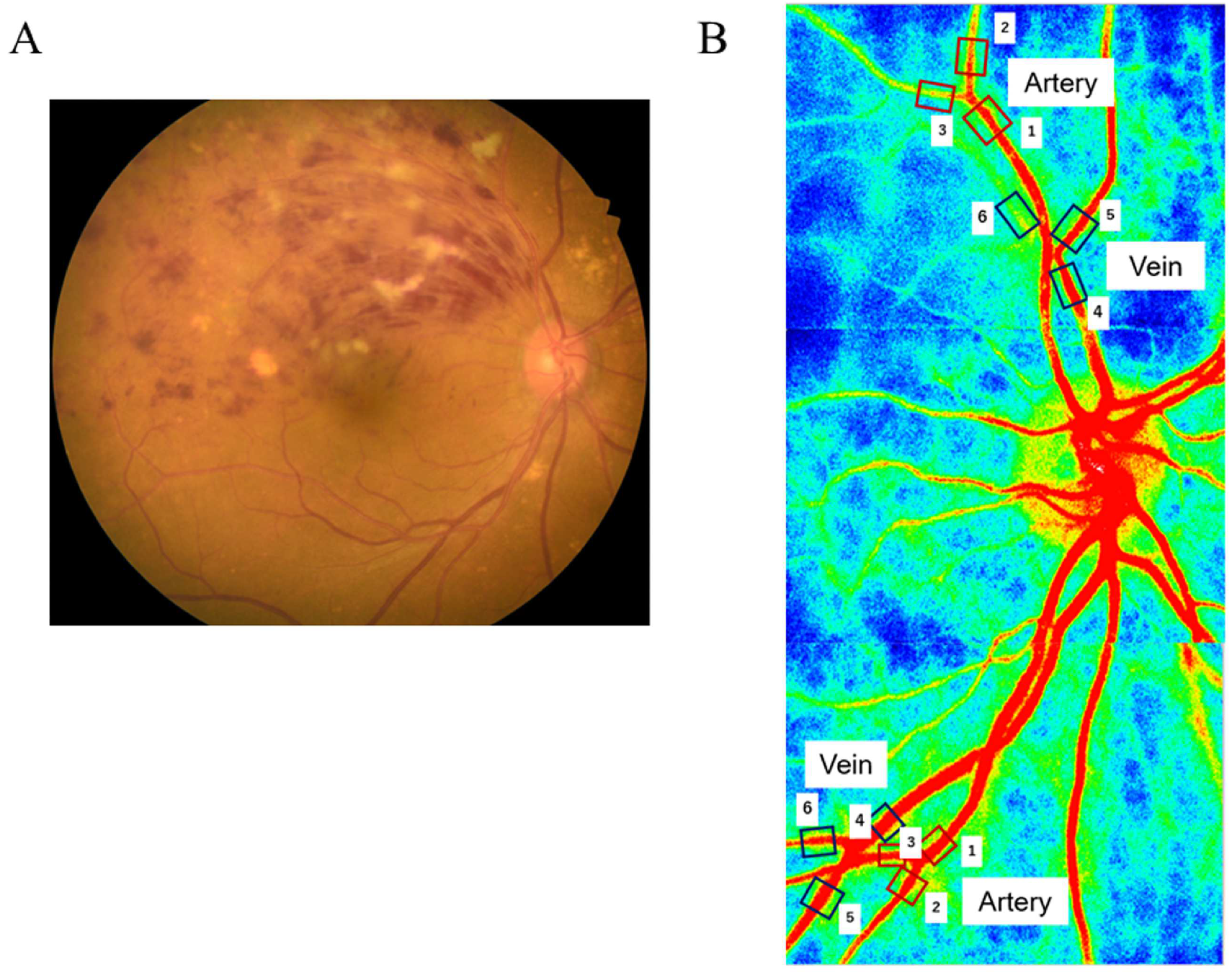 Medicina 59 01053 g001 Medicina 59 01053 g001
