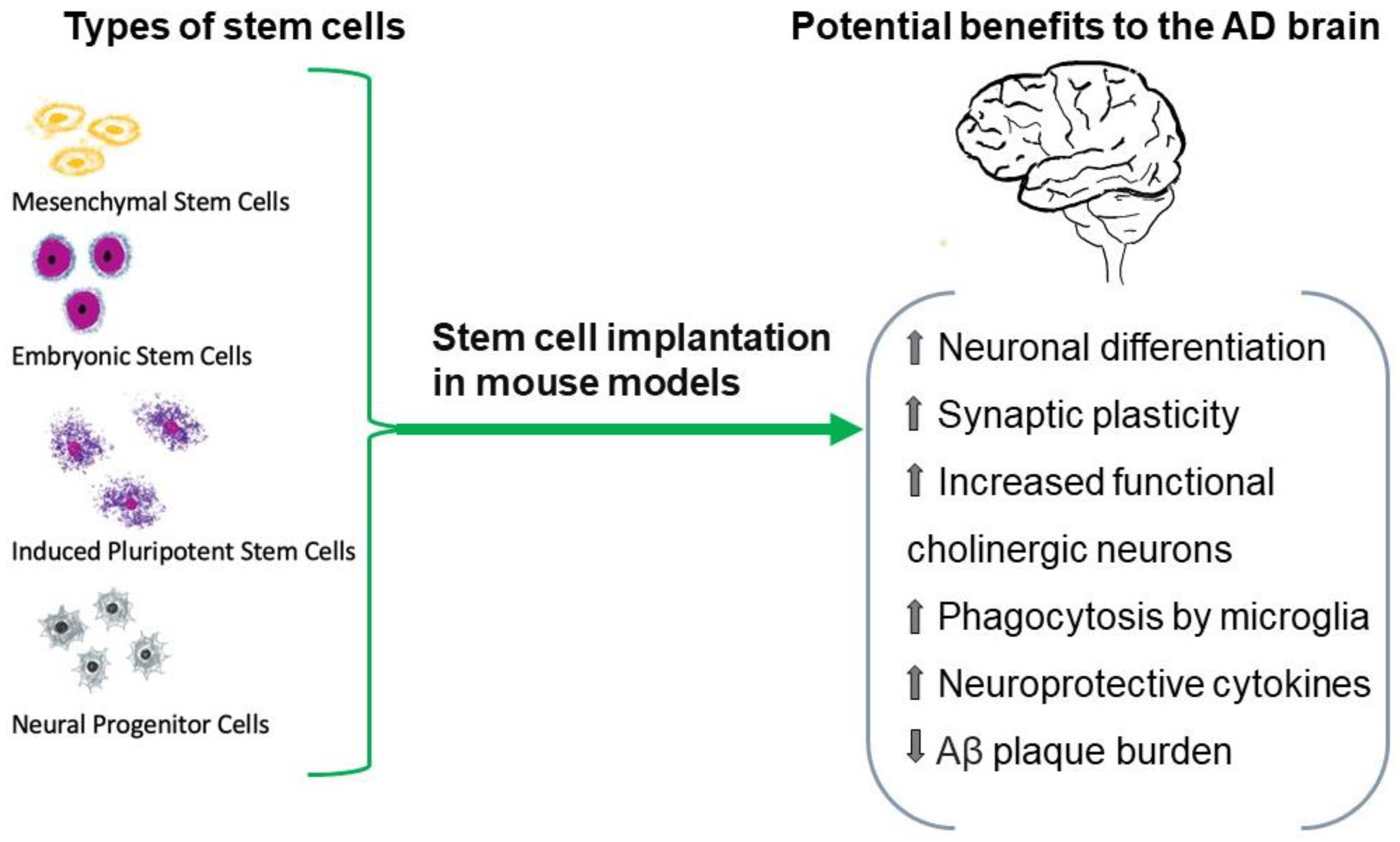 Medicina 59 01084 g002
