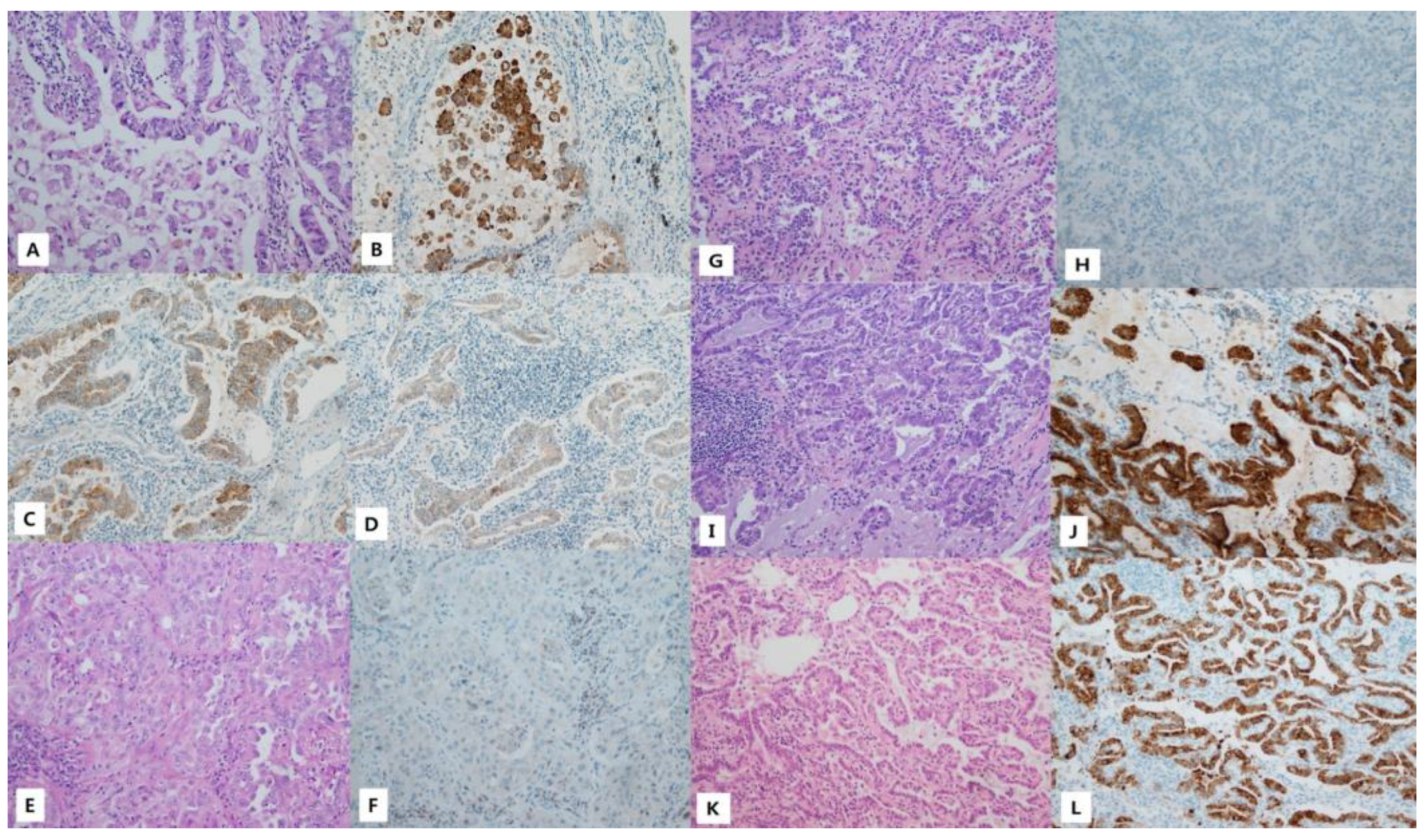 Medicina 59 01085 g001 Medicina 59 01085 g001