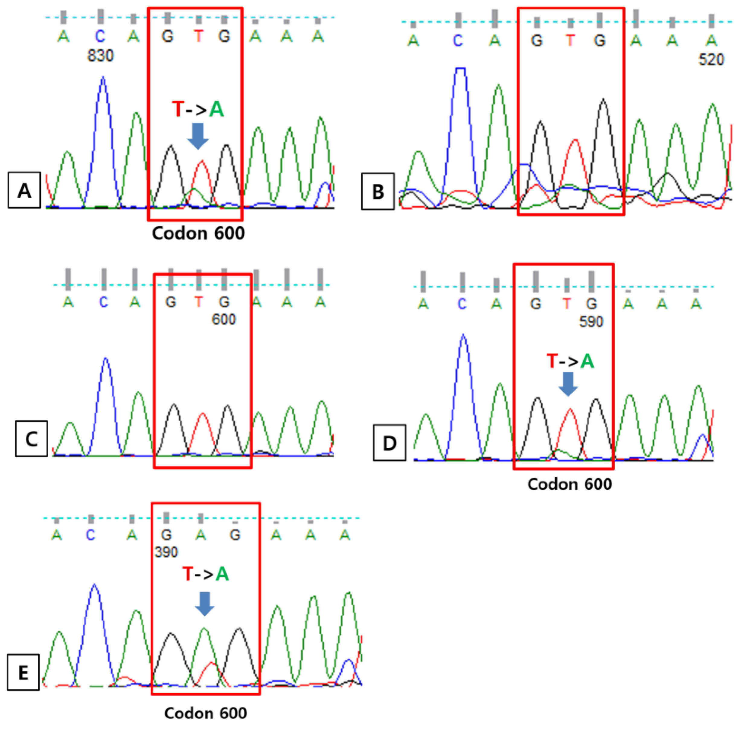 Medicina 59 01085 g002 Medicina 59 01085 g002