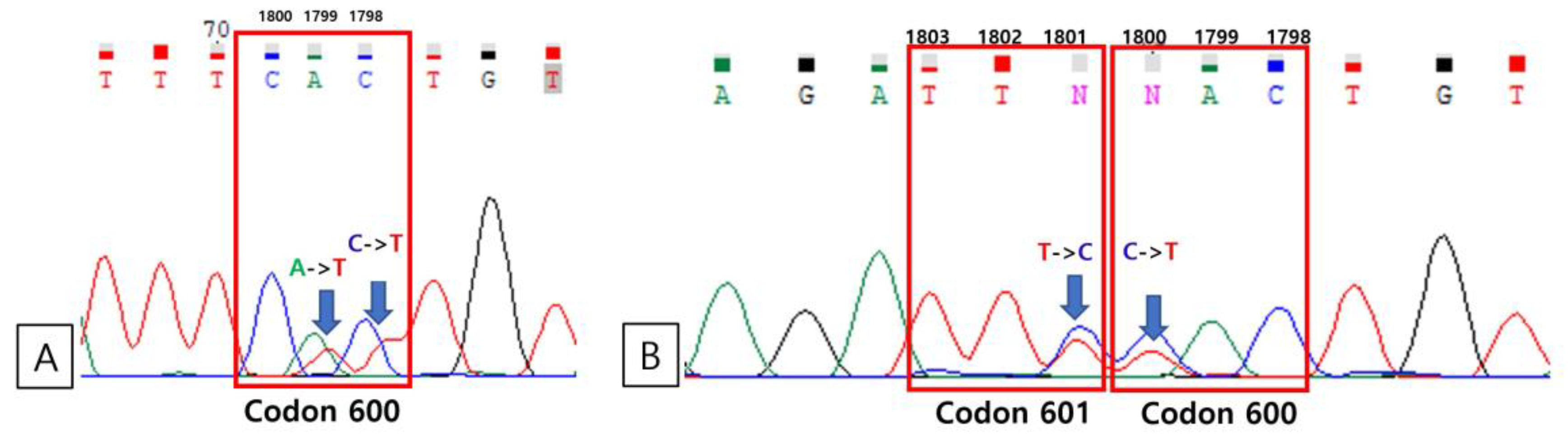 Medicina Free Full Text BRAF V600E Mutation of Non Small Cell