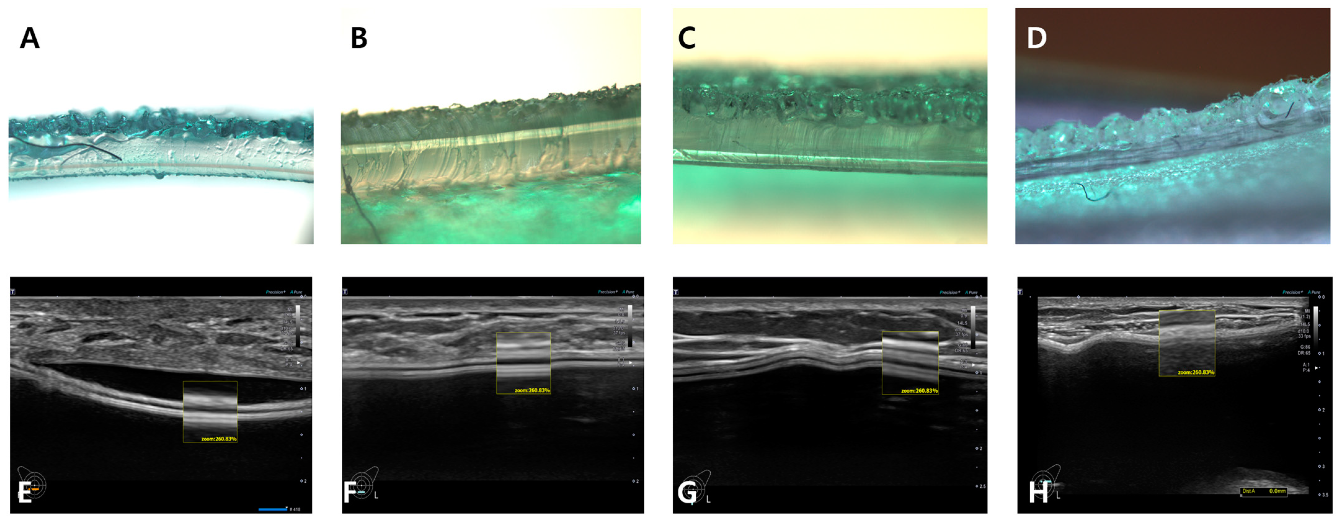 Medicina 59 01092 g004 Medicina 59 01092 g004