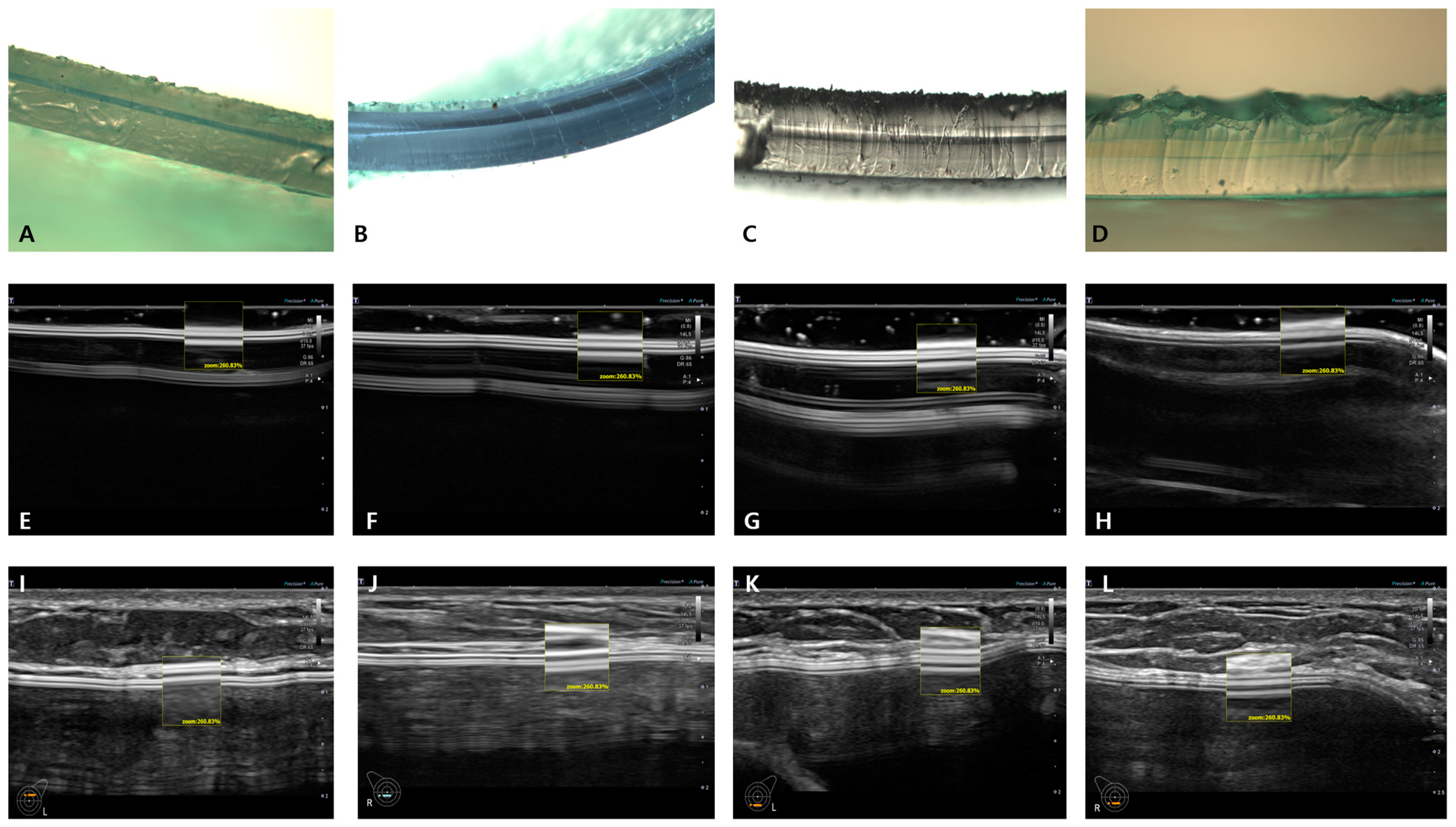 Medicina 59 01092 g005 Medicina 59 01092 g005