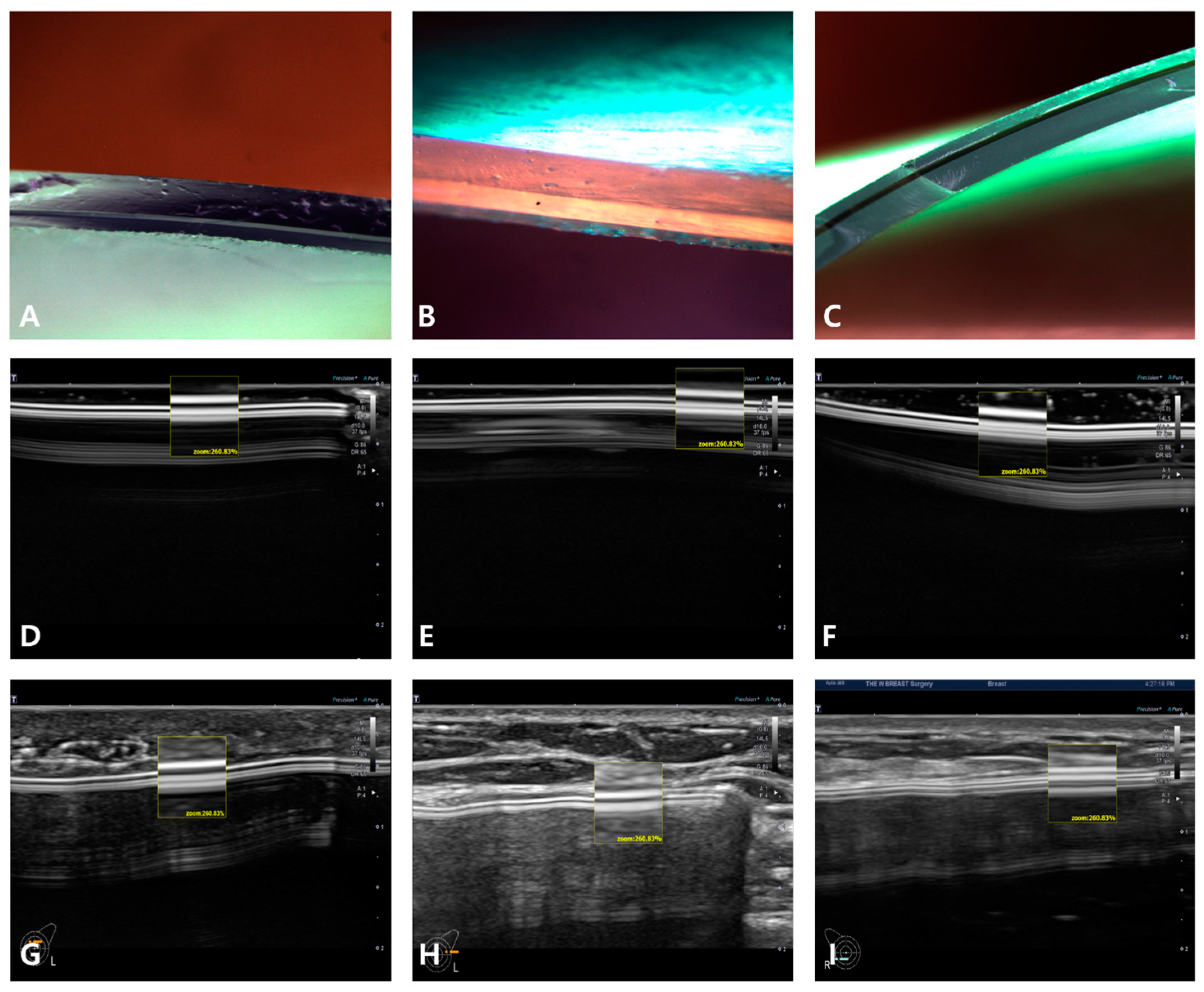 Medicina 59 01092 g006 Medicina 59 01092 g006