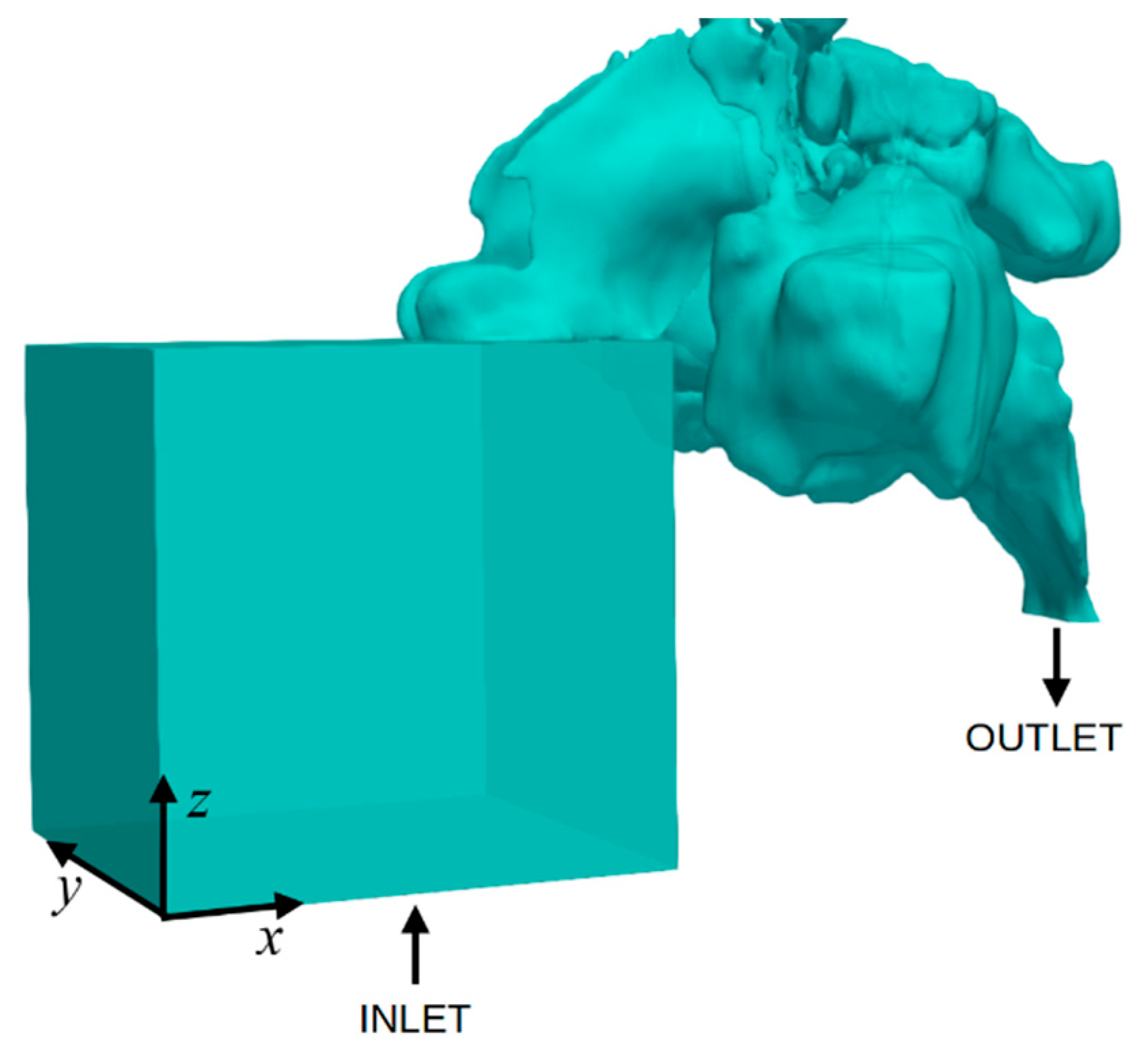 Medicina 59 01094 g001 Medicina 59 01094 g001