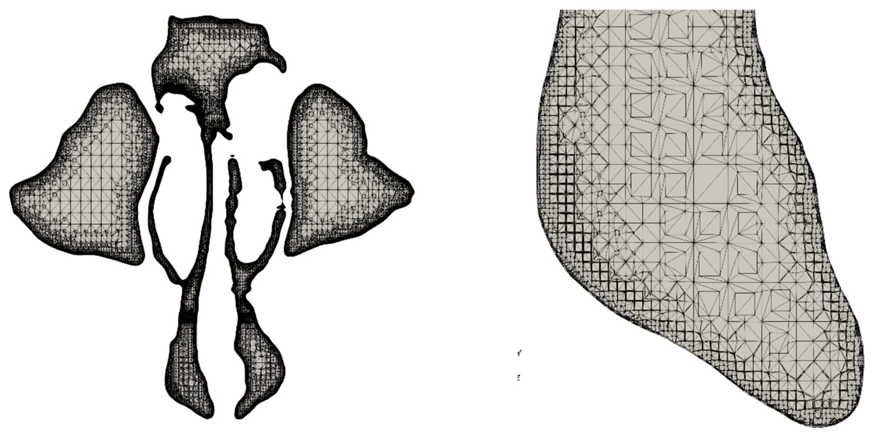 Medicina 59 01094 g002 Medicina 59 01094 g002