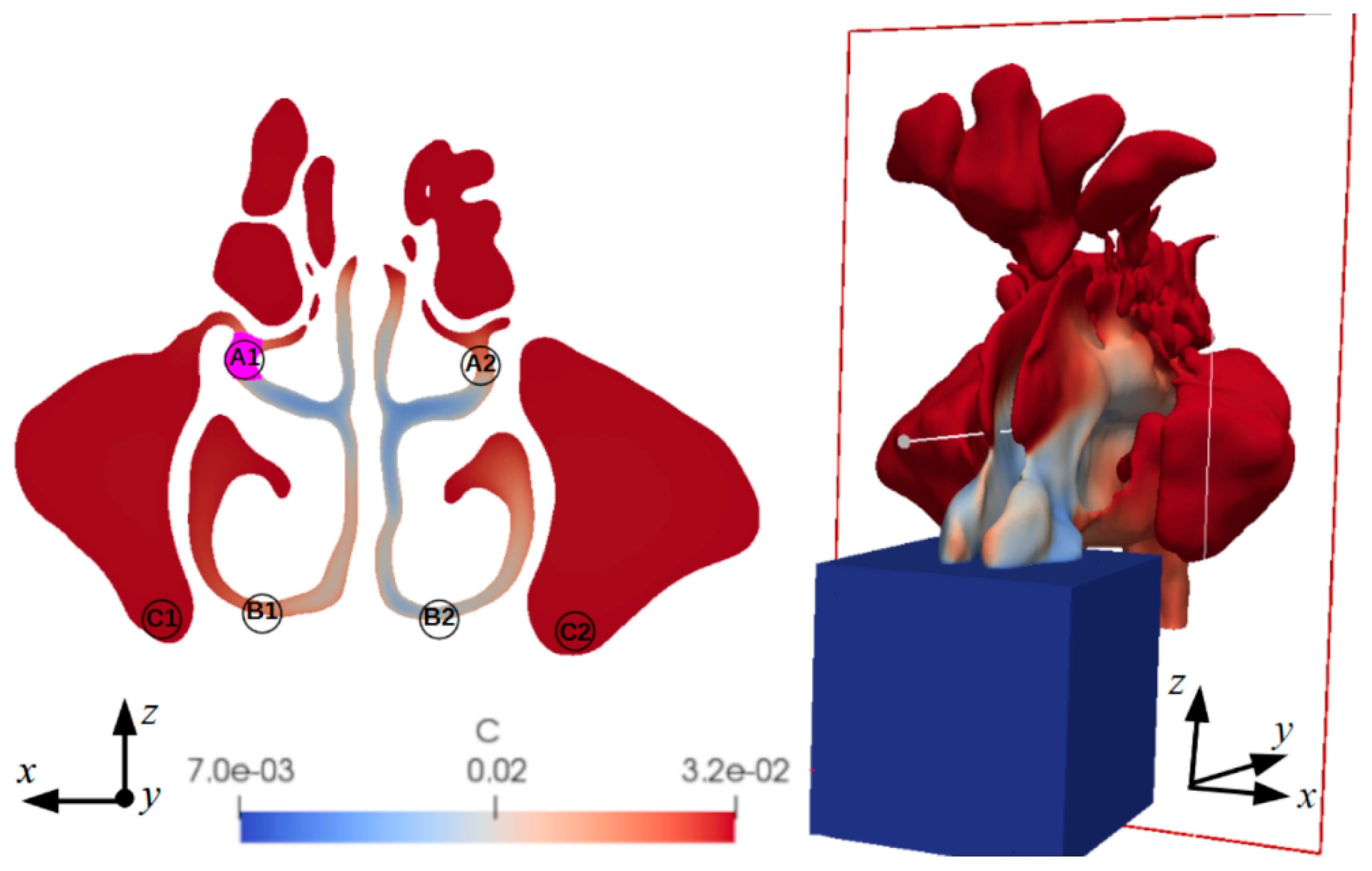 Medicina 59 01094 g003 Medicina 59 01094 g003