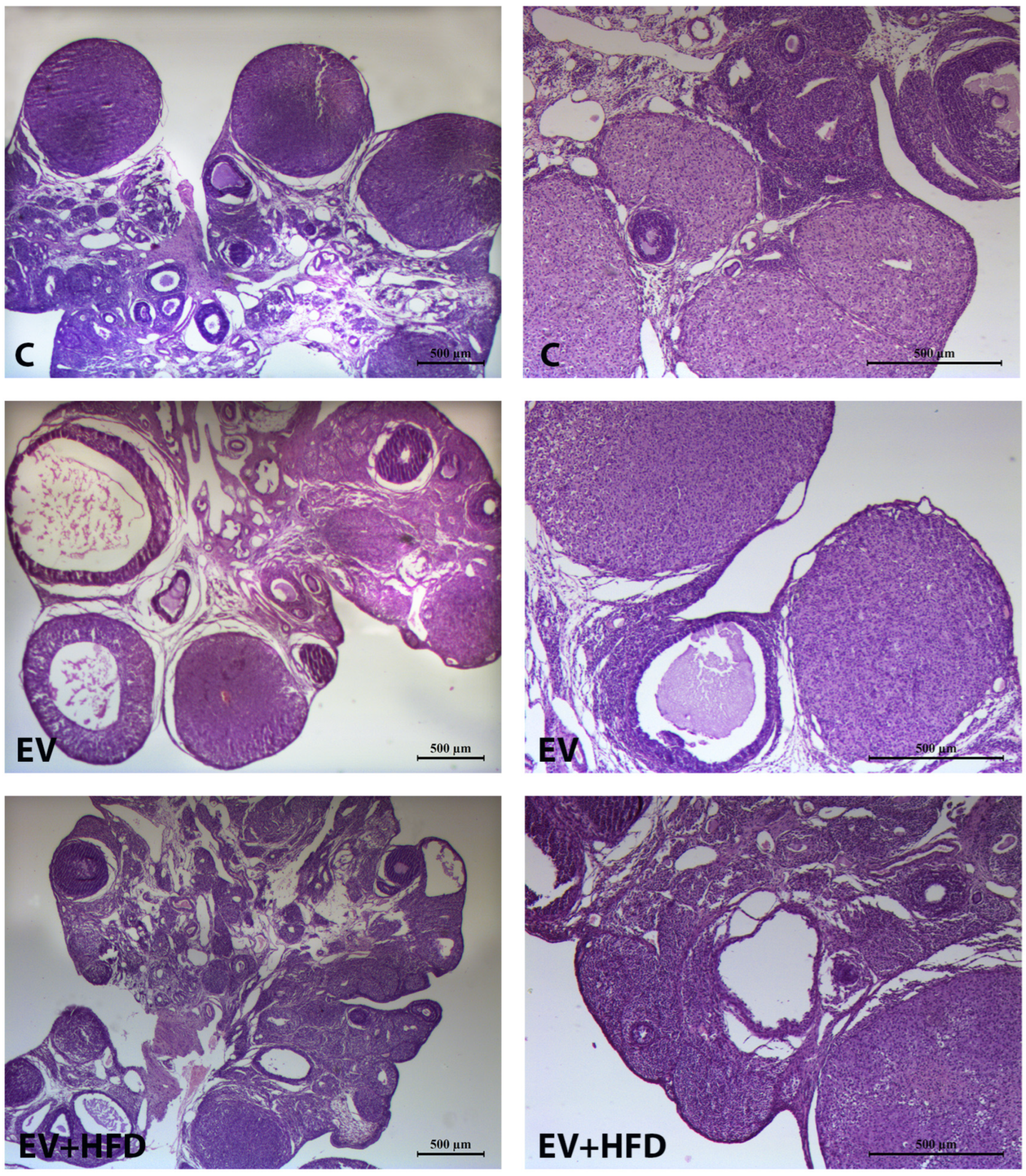 Medicina 59 01104 g005 Medicina 59 01104 g005