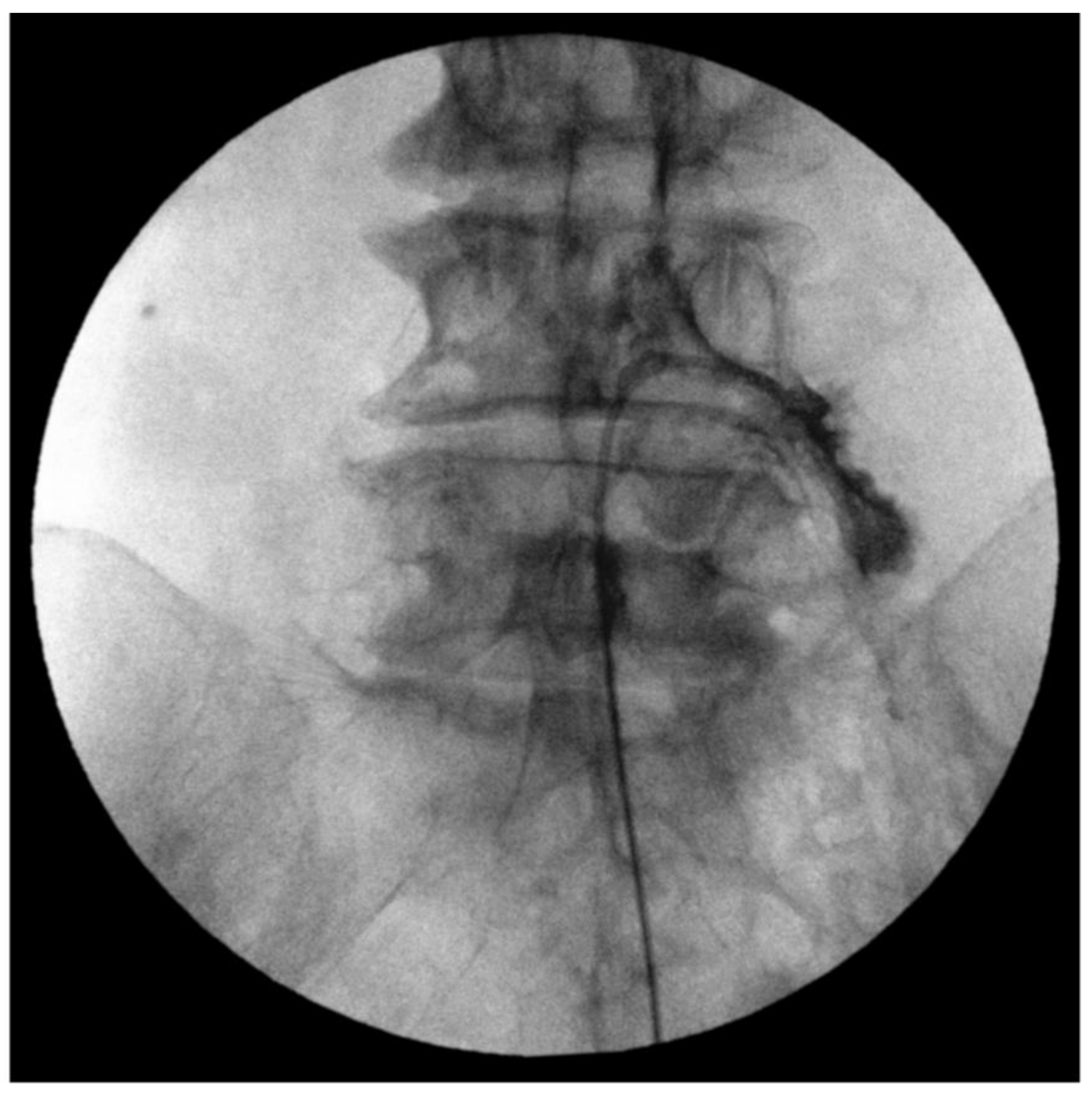 Medicina 59 01118 g003 Medicina 59 01118 g003