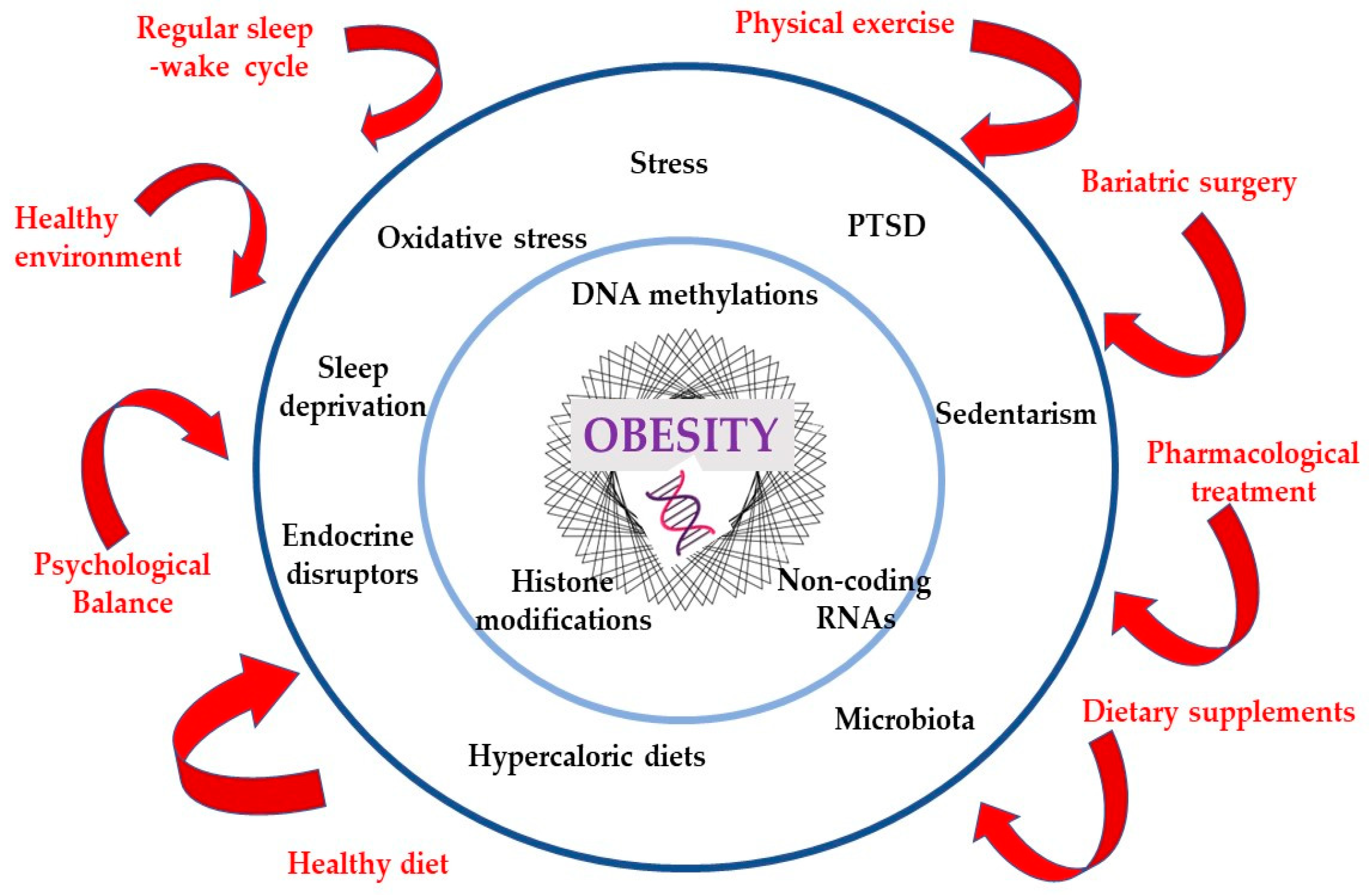 Medicina | Free Full-Text | 360-Degree Perspectives on Obesity