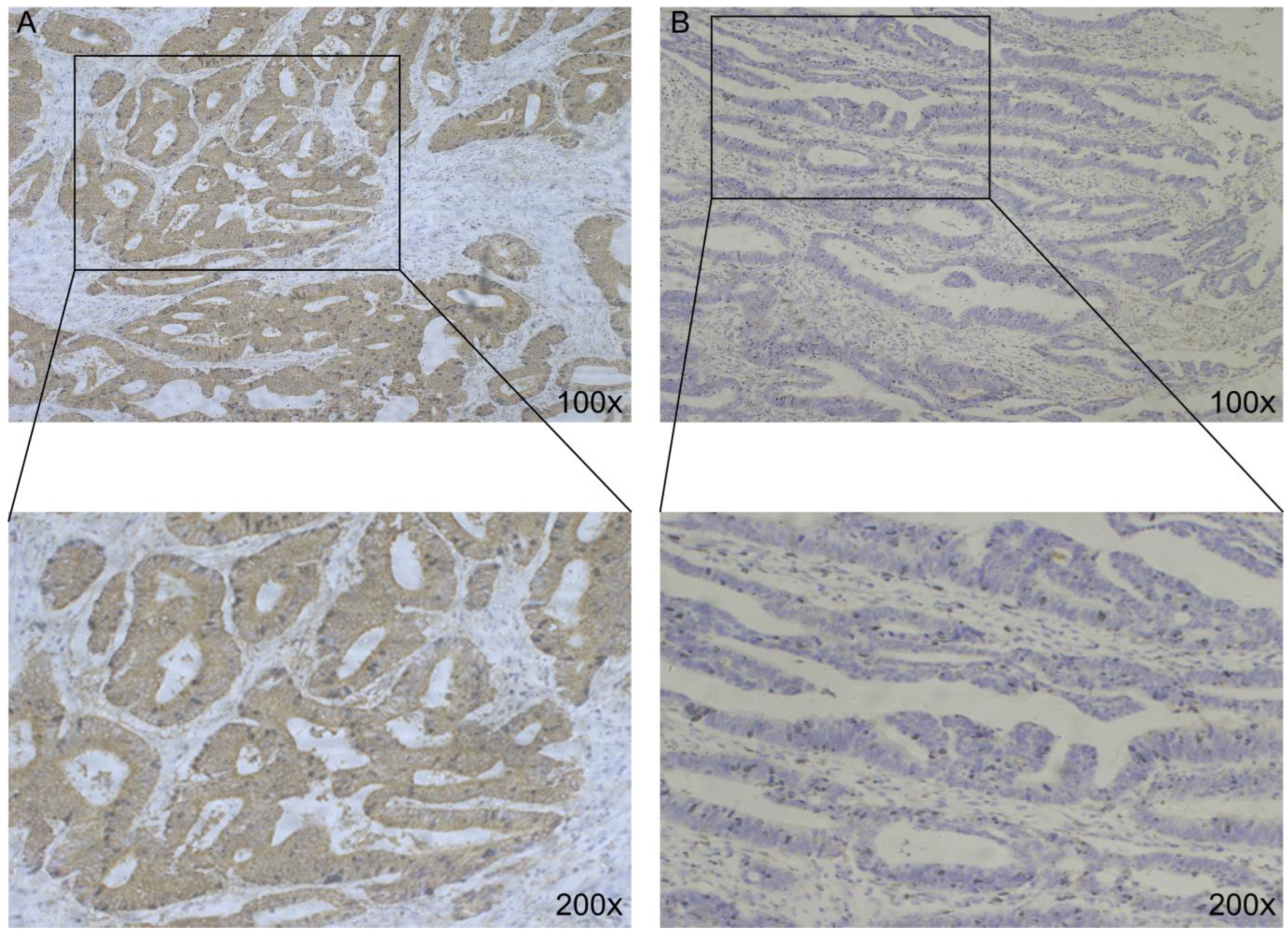 Medicina 59 01133 g001 Medicina 59 01133 g001