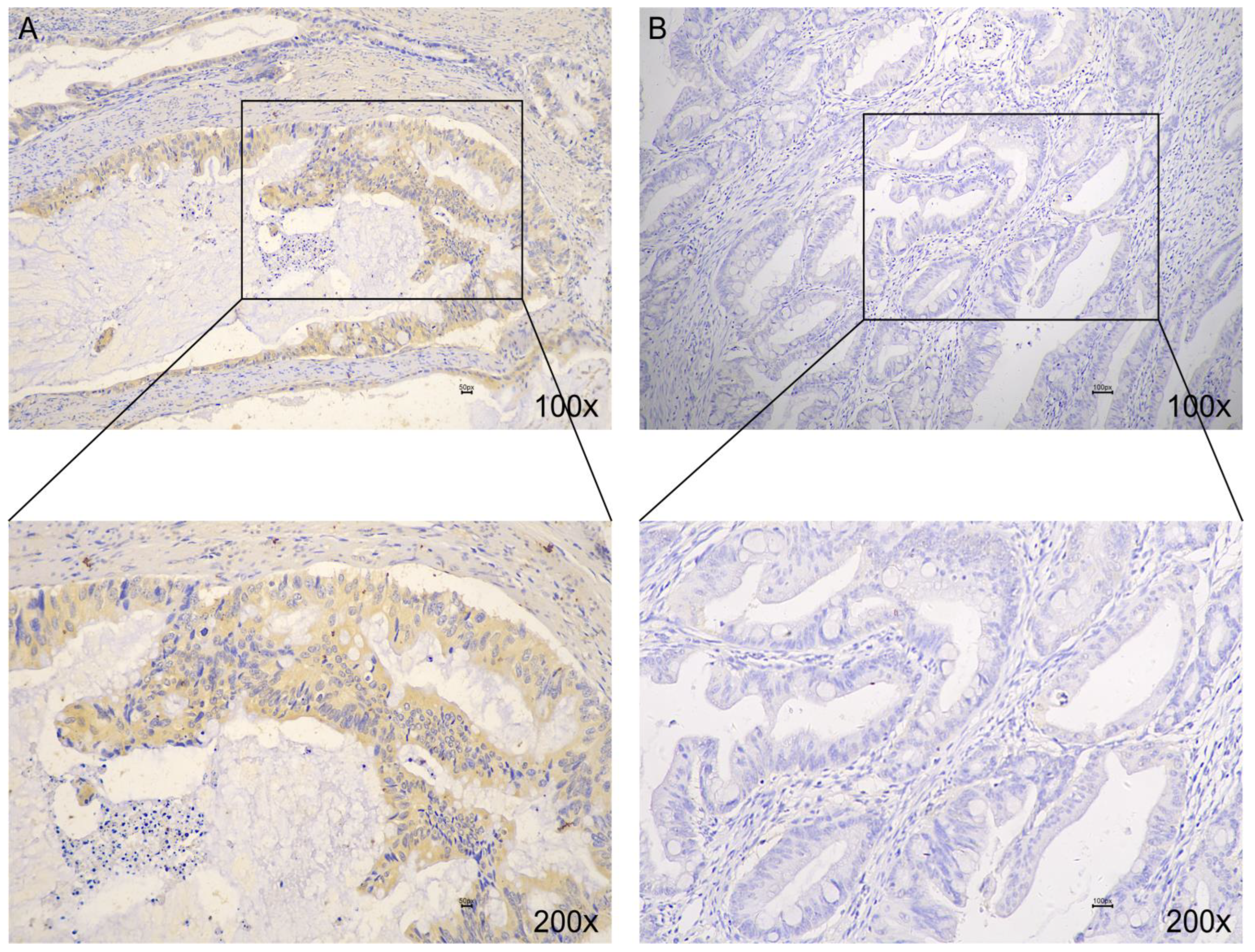 Medicina 59 01133 g004 Medicina 59 01133 g004